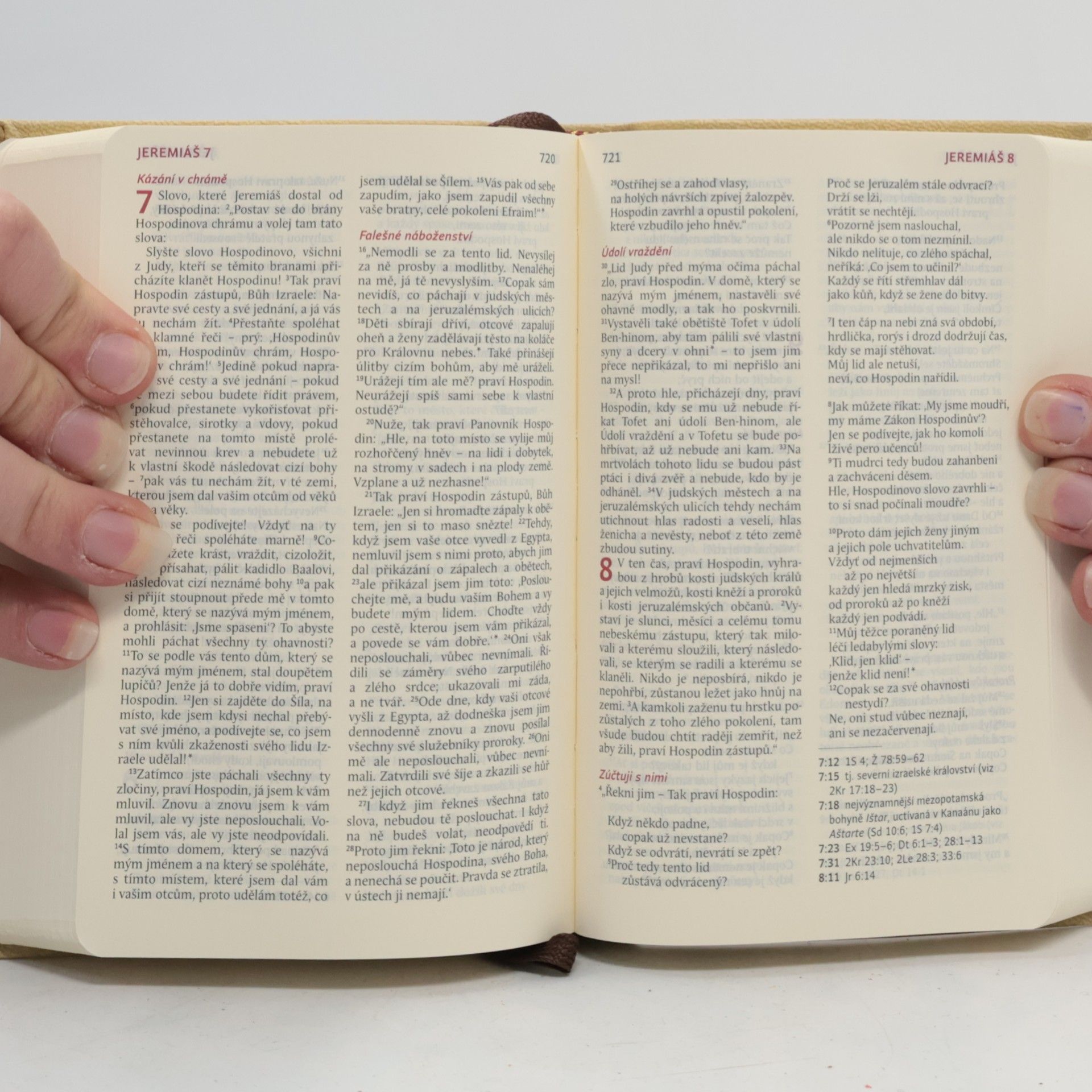 Kolektiv autorů Bible