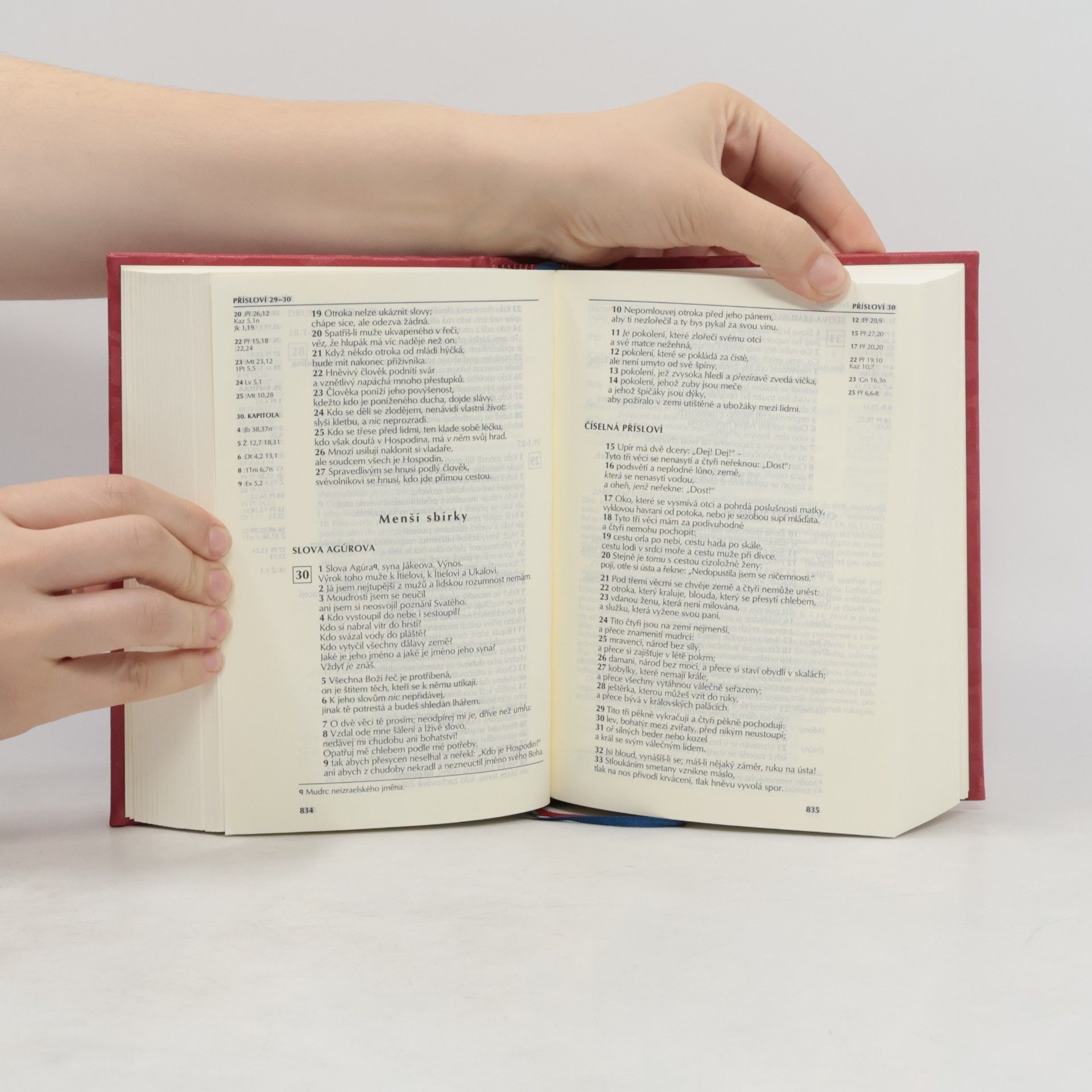 Česká biblická společnost Bible