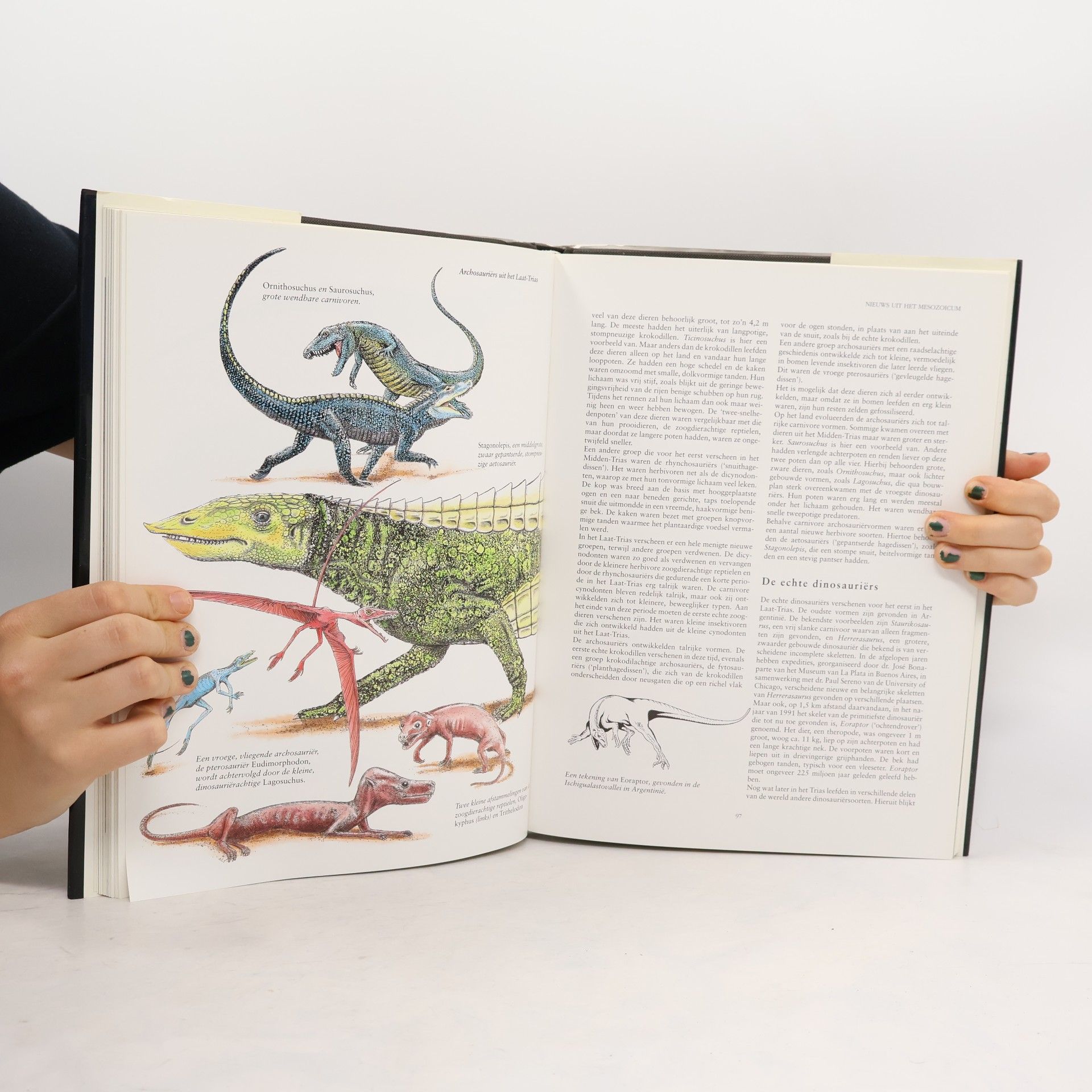 Herman J. V. van den Bijtel De Fantastische Wereld van de Dinosauriërs