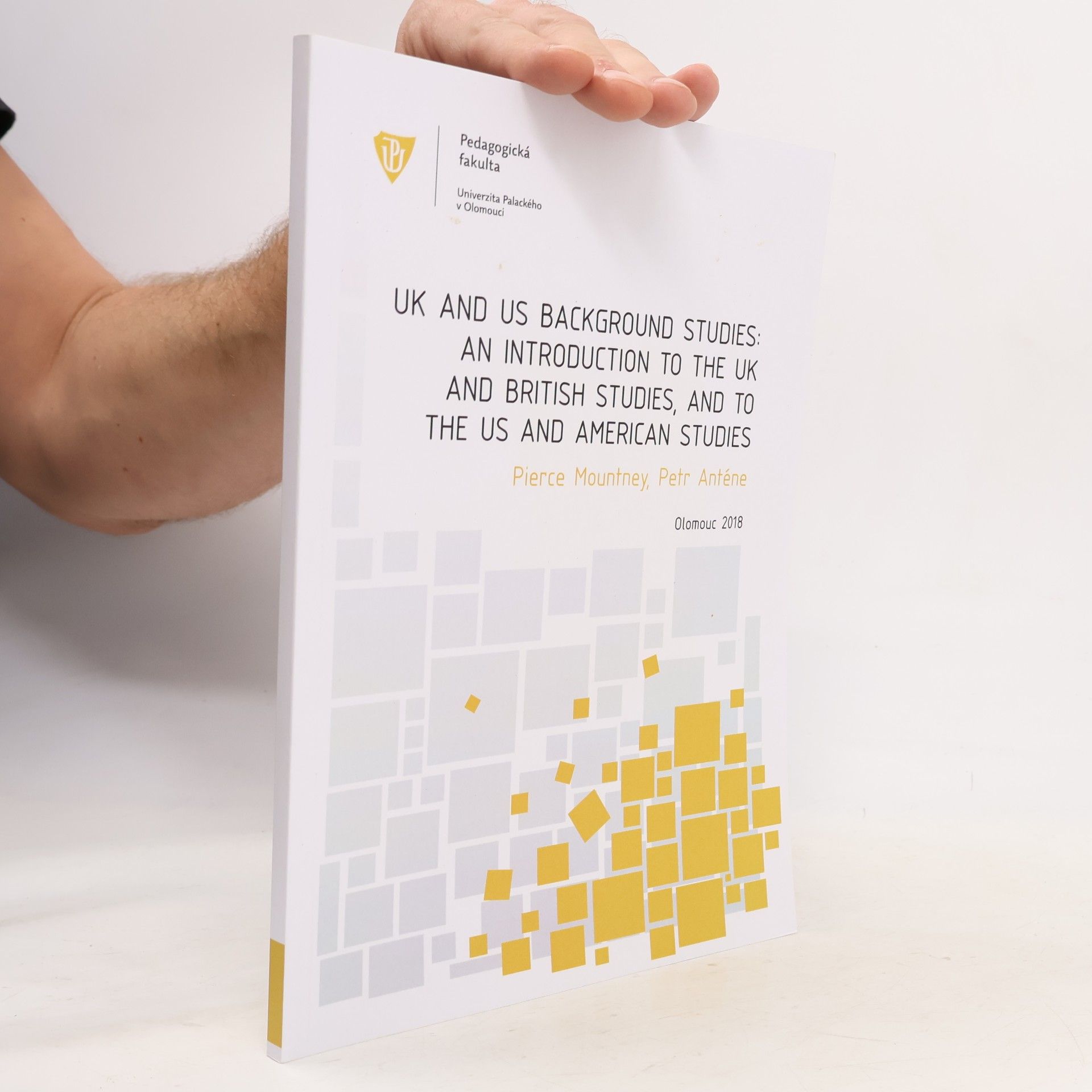 UK and US background studies : an introduction to the UK and British studies, and to the US and American studies