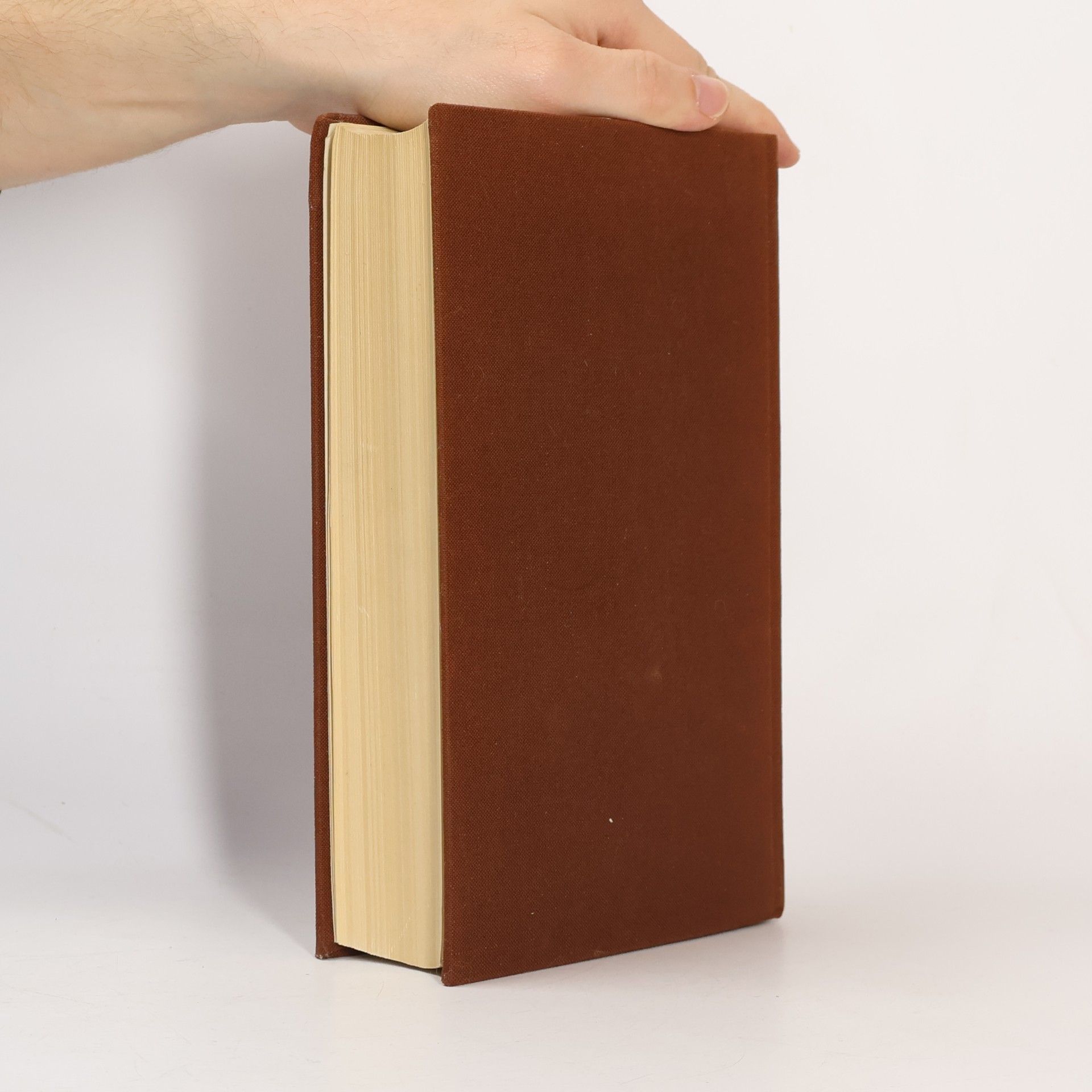 Louis Paul Boon Het Geuzenboek