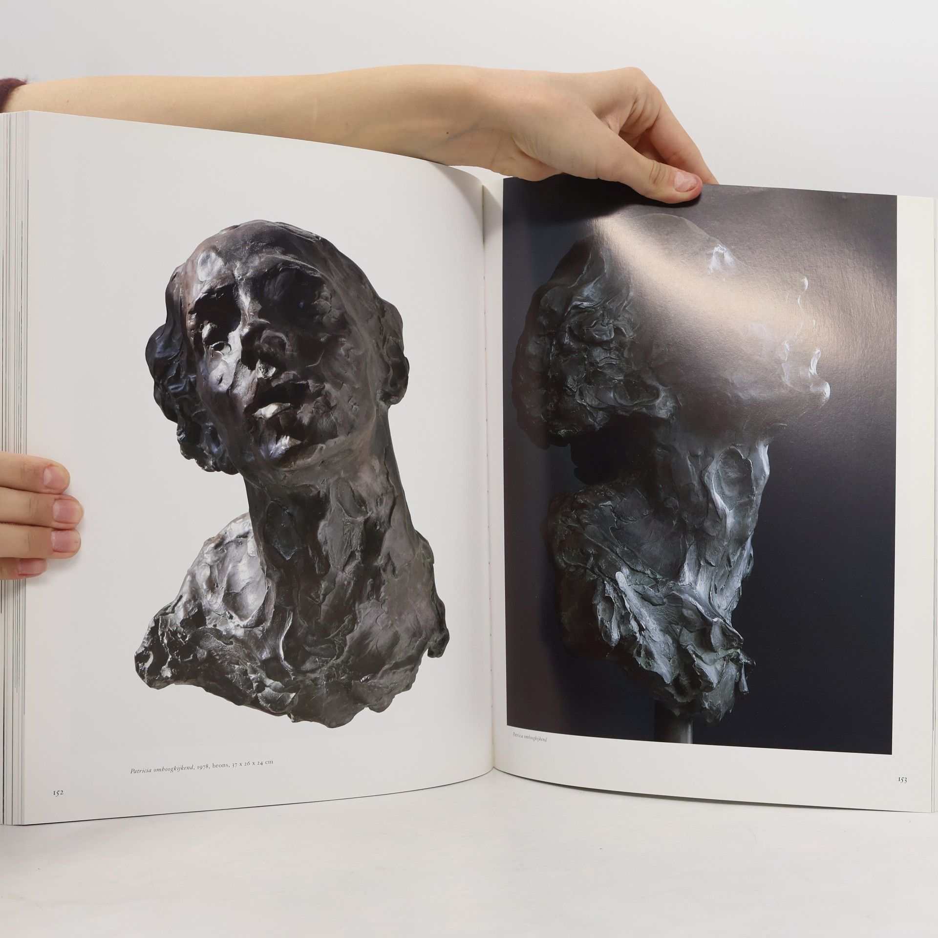 Eddy Roos Monografieen van het Drents Museum over hedendaagse figuratieve kunstenaars - 15: Eddy Roos verstilde beweging