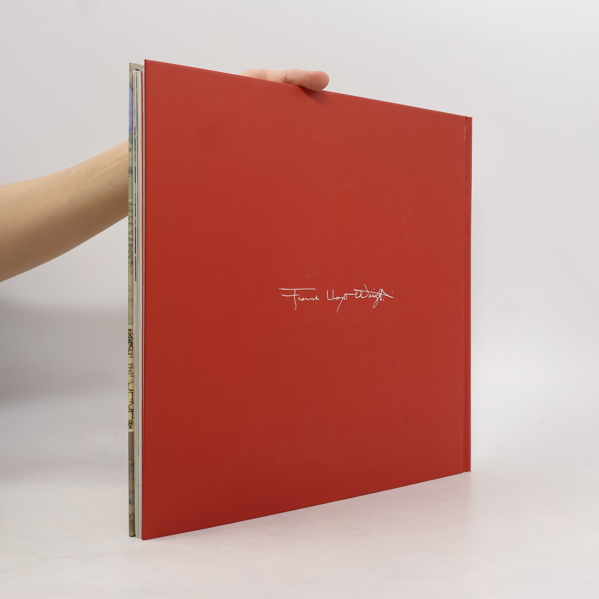 Margo Stipe Frank Lloyd Wright: het interactieve portfolio