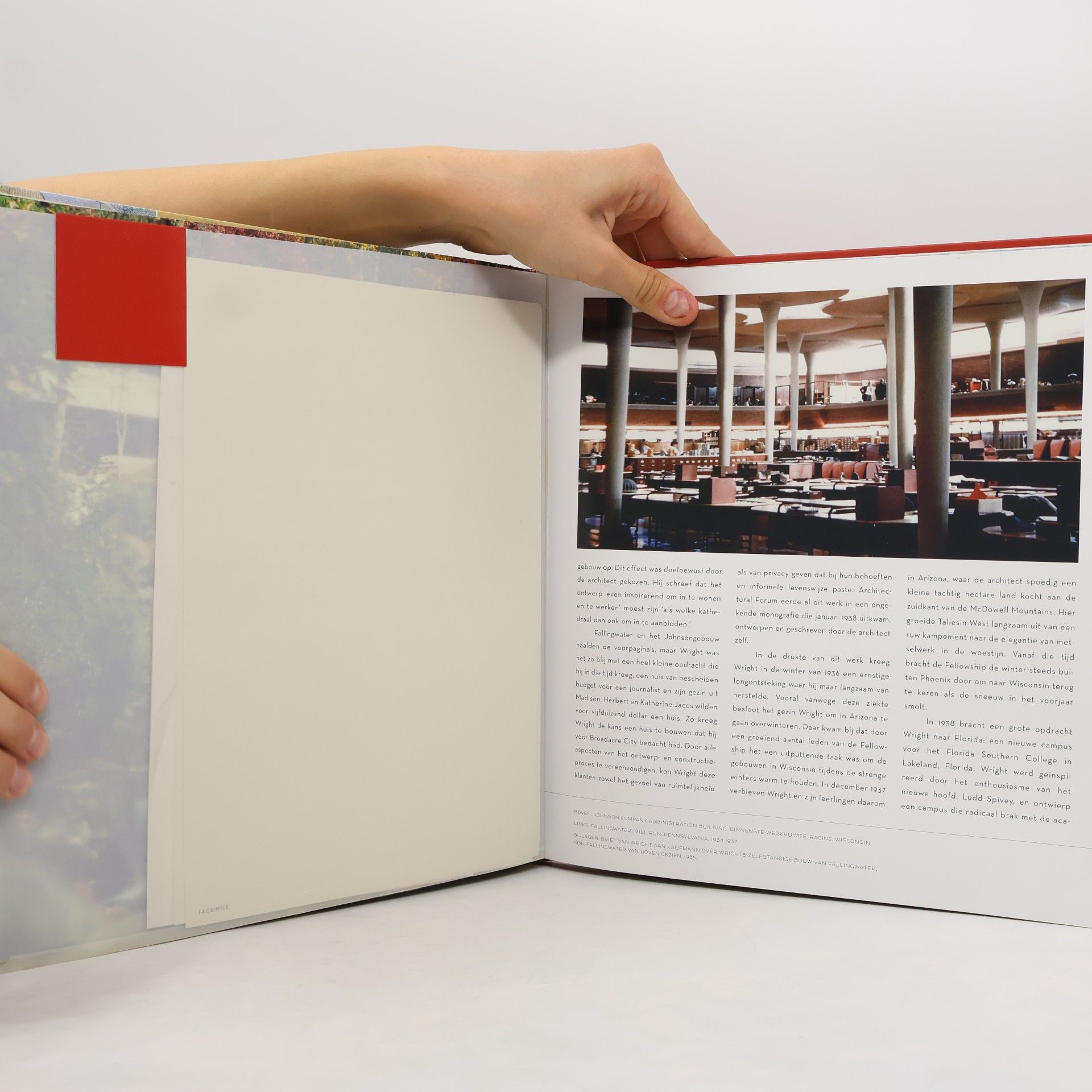 Margo Stipe Frank Lloyd Wright: het interactieve portfolio