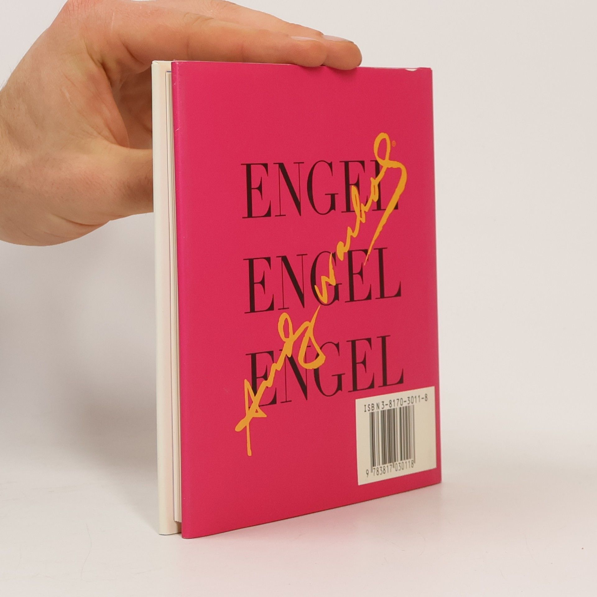 Andy Warhol Engel, Engel, Engel