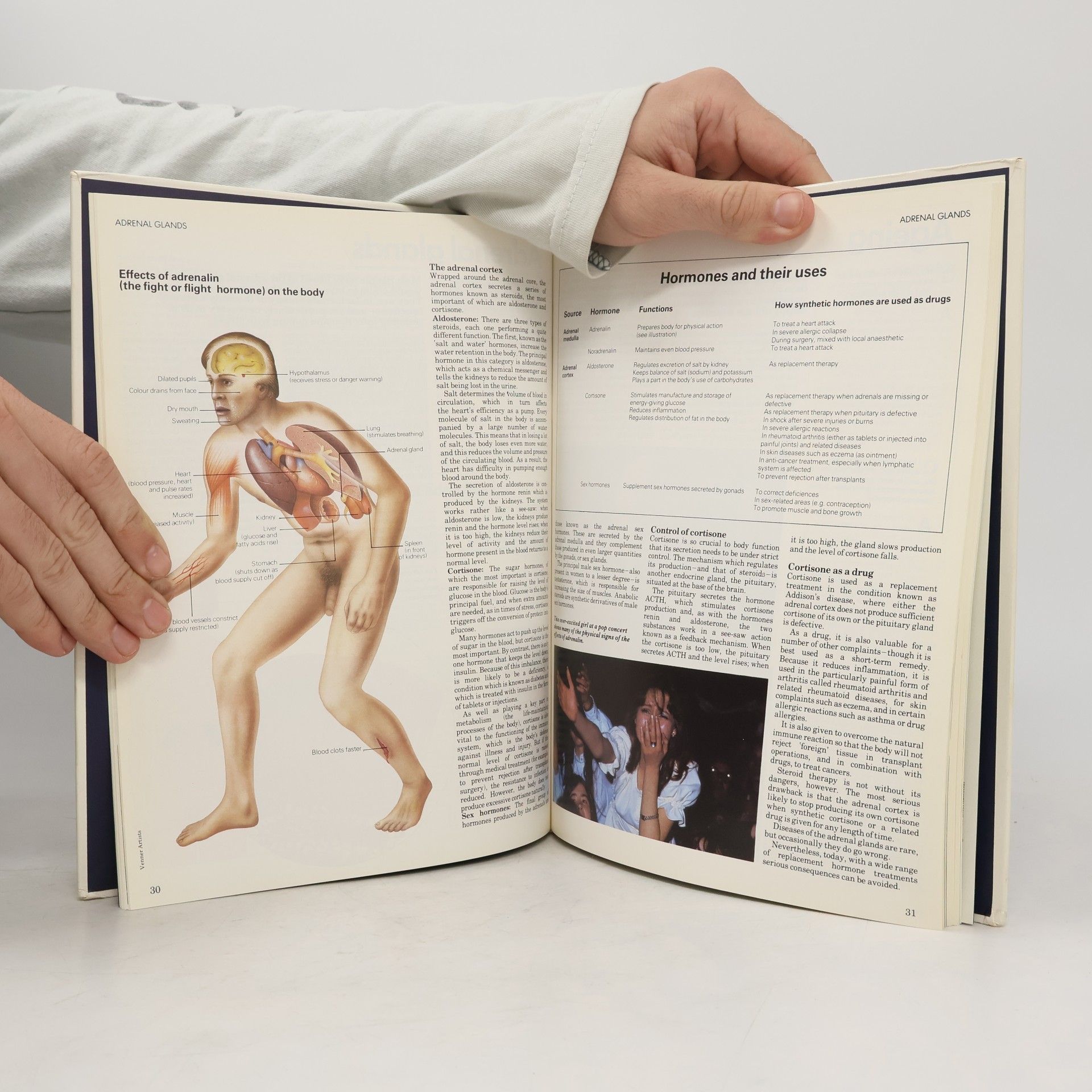 Trevor Weston Edward Horton The Family Health