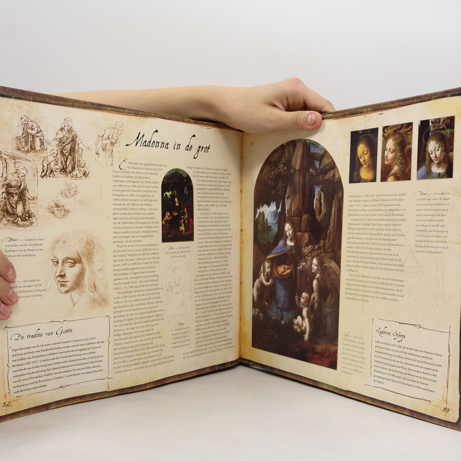 Matthew Hayden Landrus De geheimen van Leonardo da Vinci