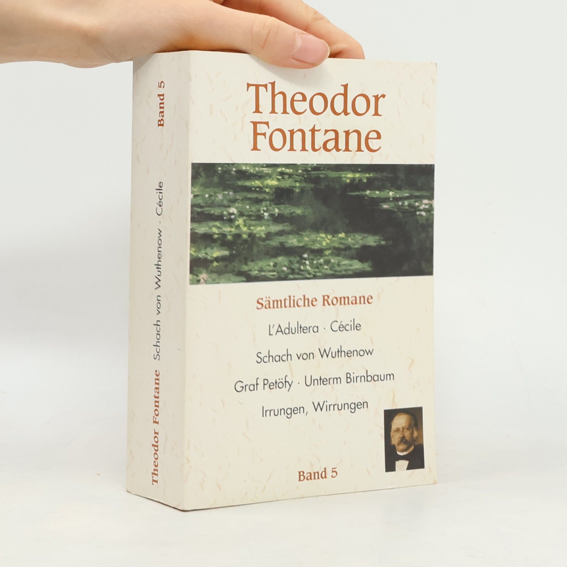 Theodor Fontane Sämtliche Romane 5