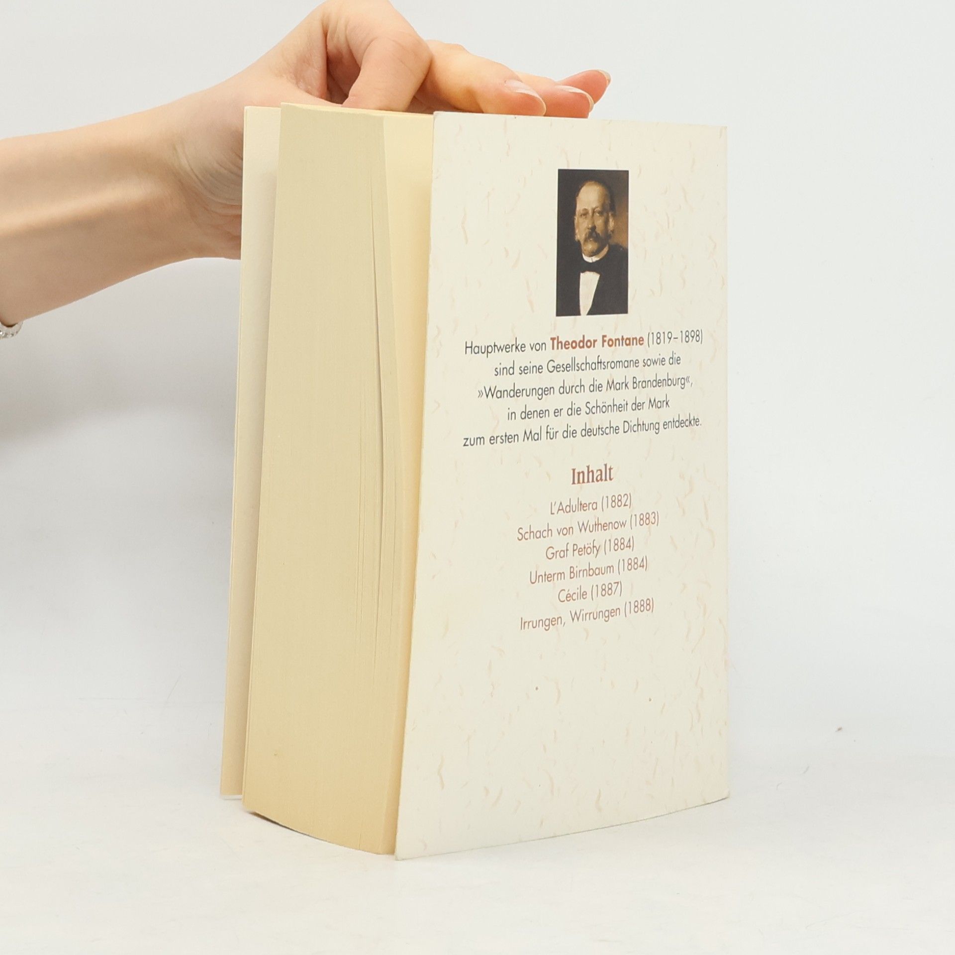 Theodor Fontane Sämtliche Romane 5