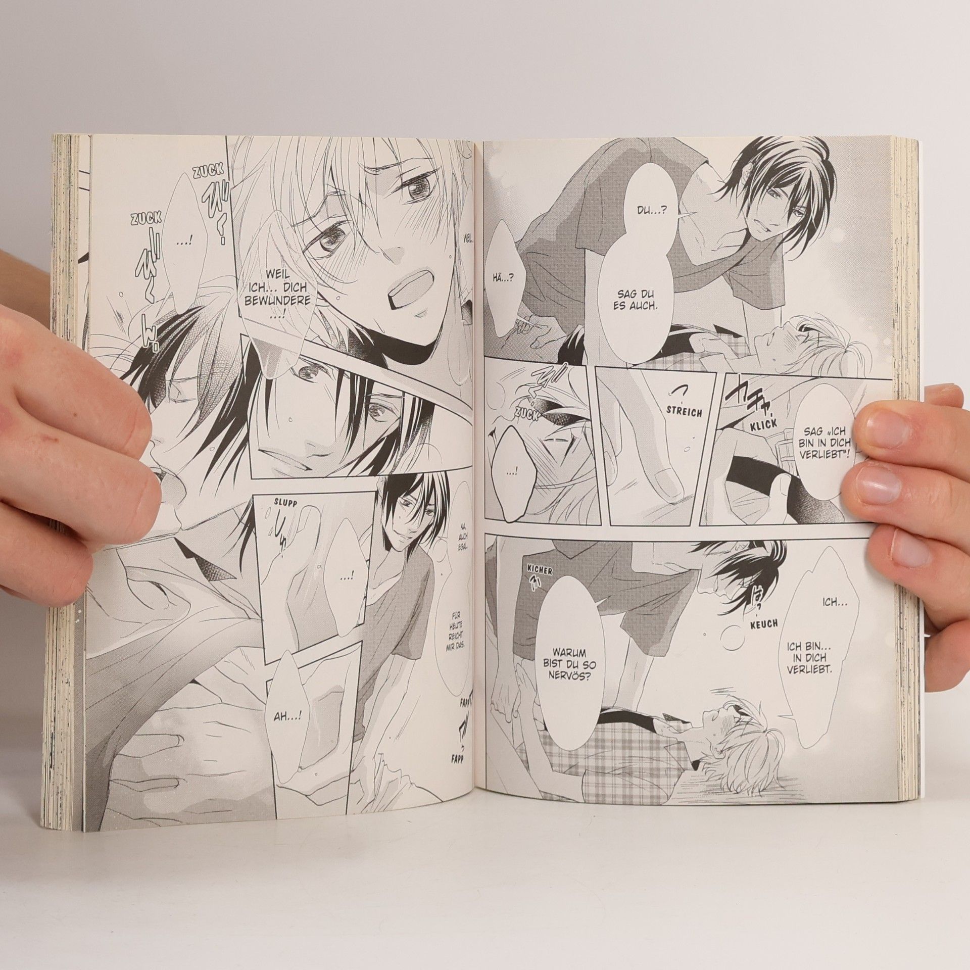 Akiho Kosaka Der Schöne und der Nerd
