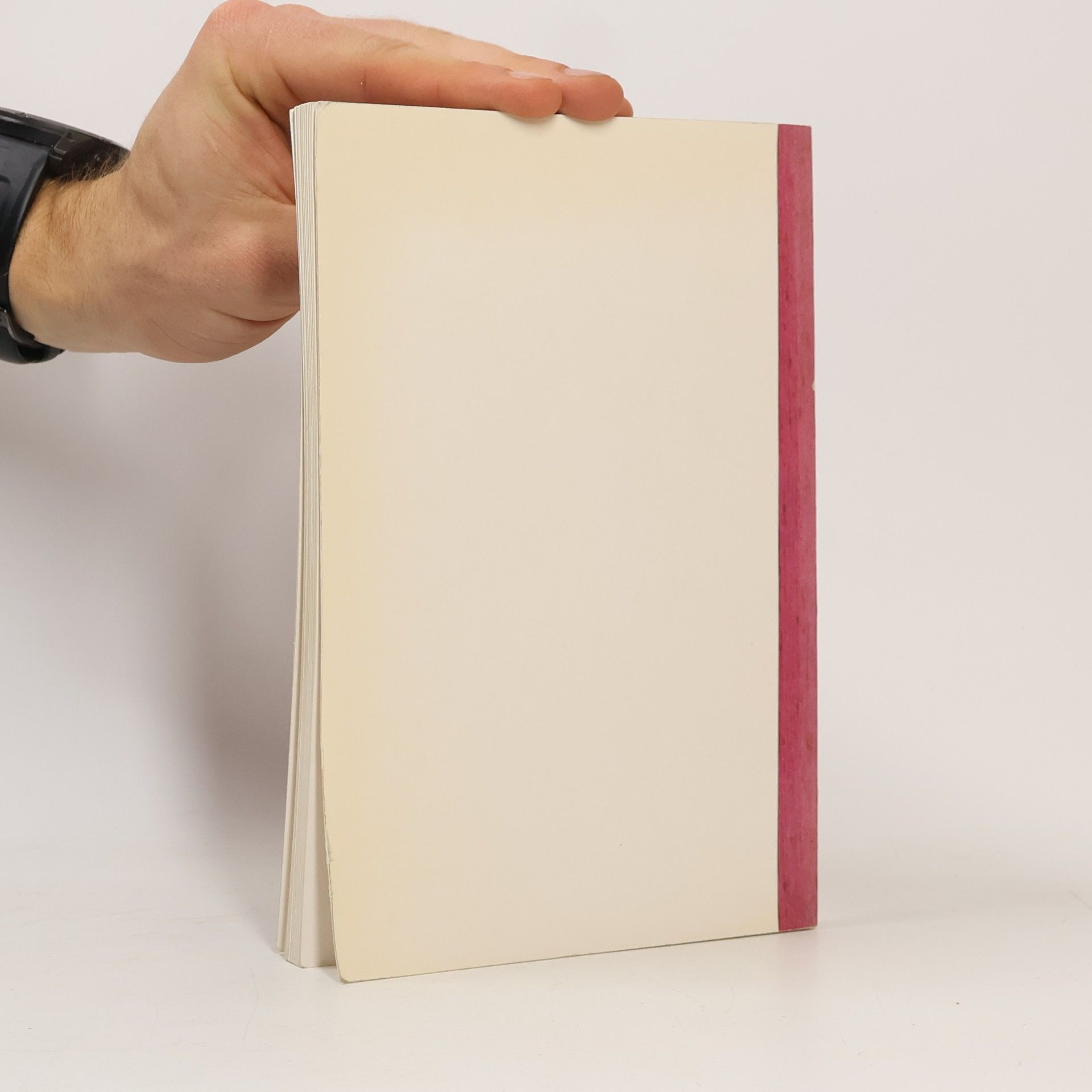 E. J. Schindler Österreichische Malerei des 19. Jahrhunderts