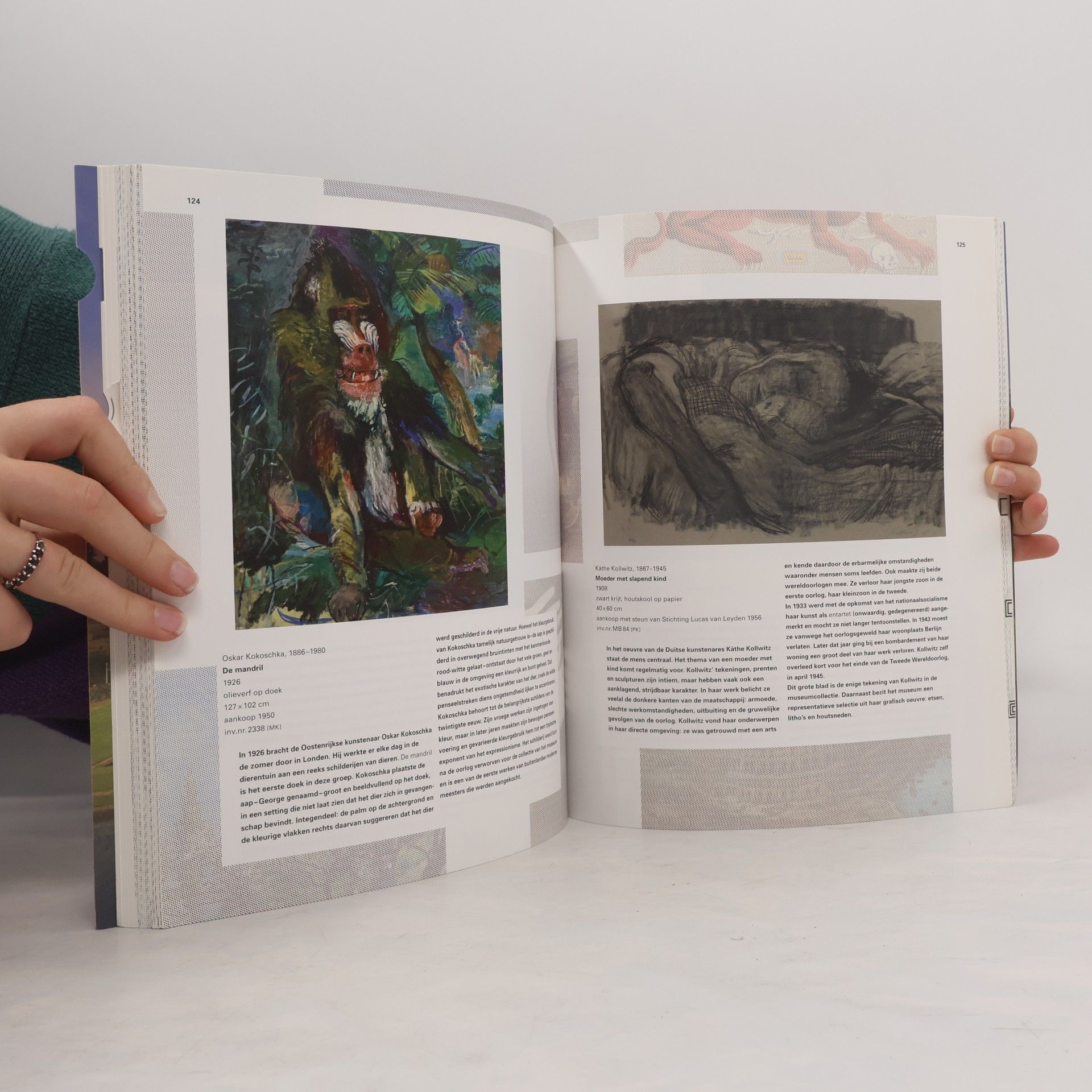 Sjarel Ex Collectieboek Museum Boijmans Van Beuningen