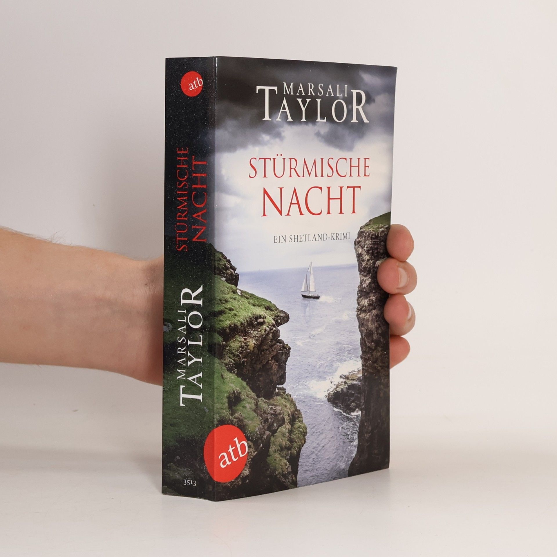 Marsali Taylor Stürmische Nacht
