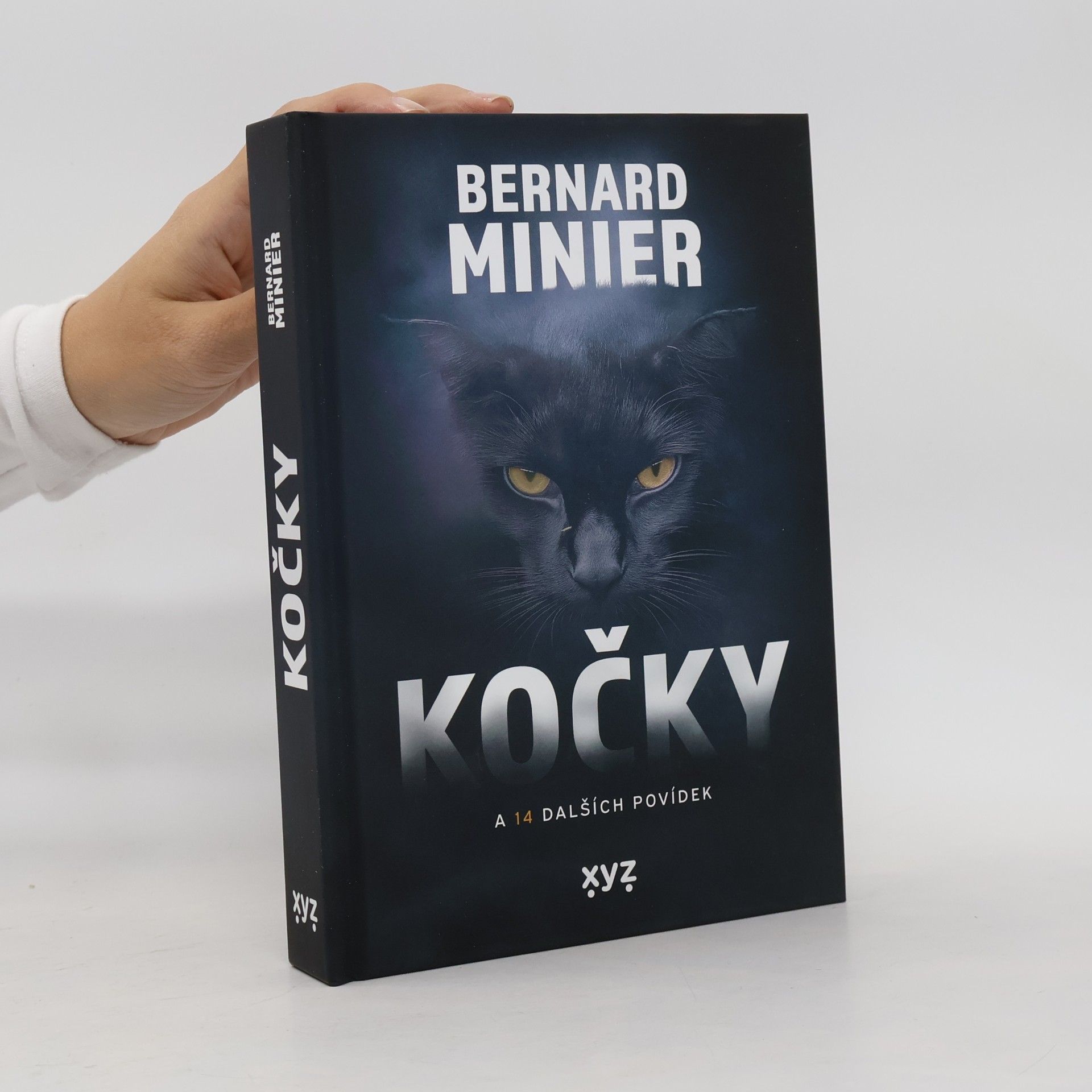 Kočky