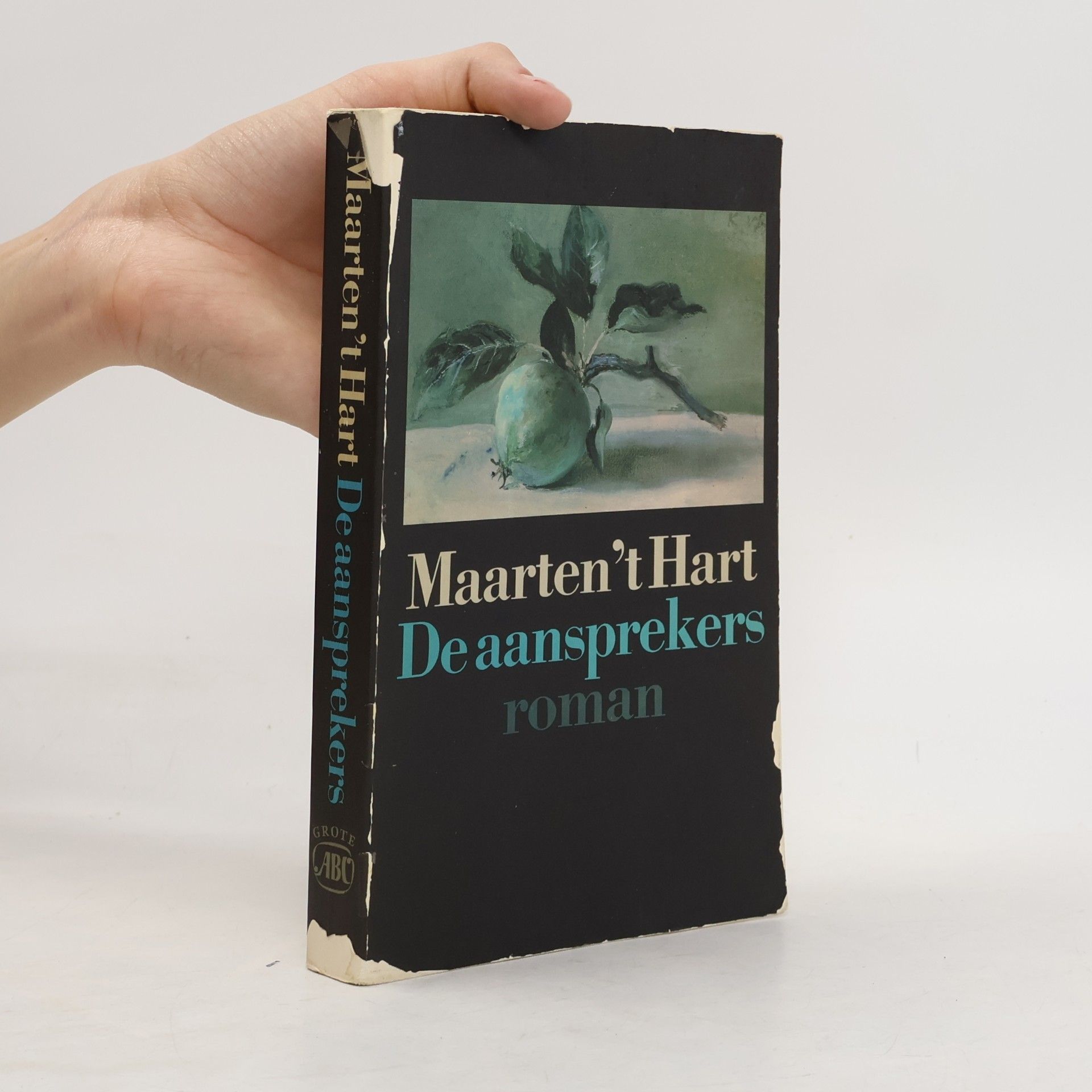 Maarten 't Hart De aansprekers