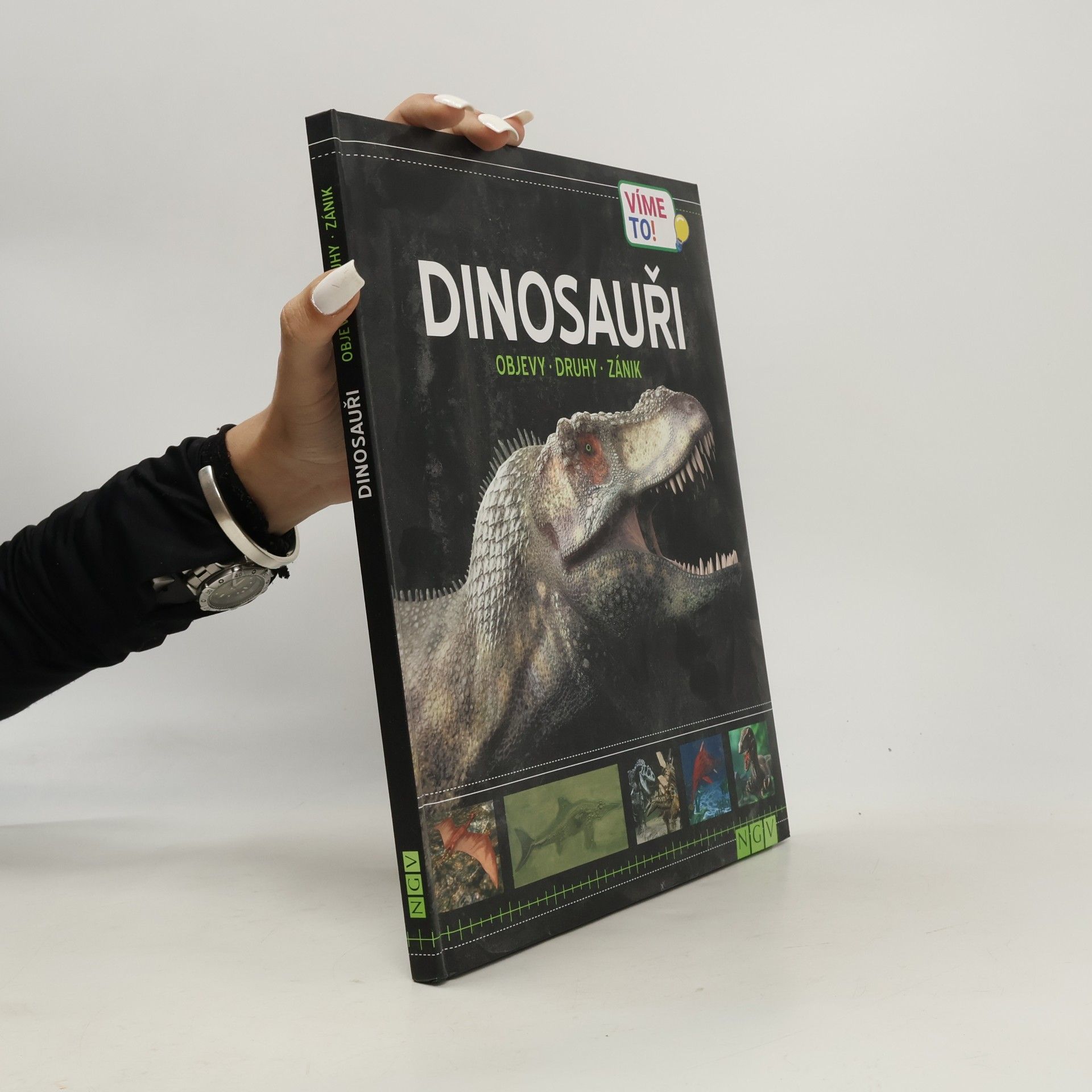 Autorenkollektiv Dinosaury