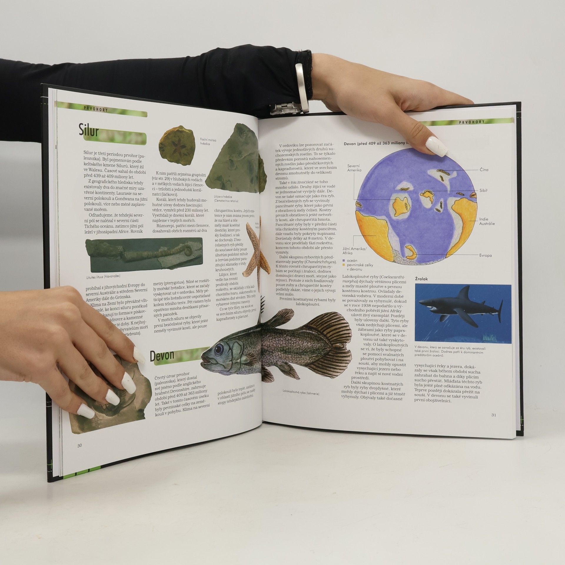 Autorenkollektiv Dinosaury