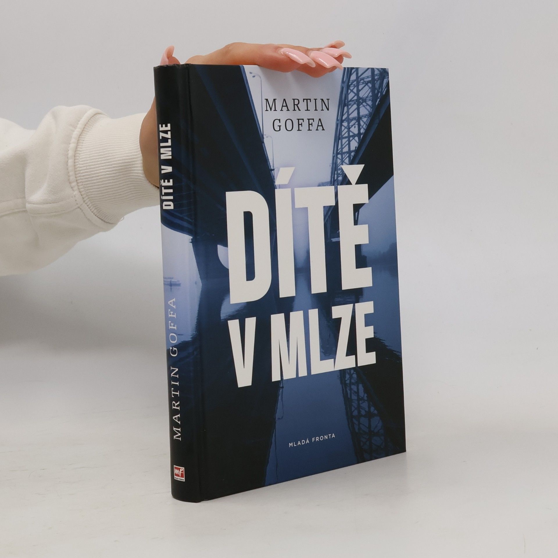 Dítě v mlze