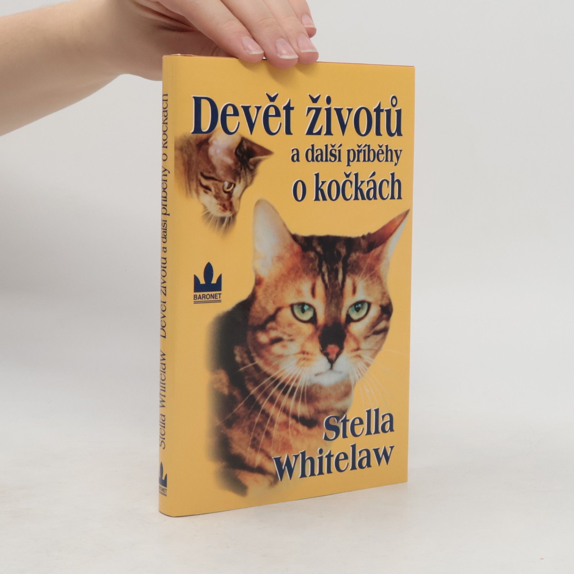 Devět životů a další příběhy o kočkách