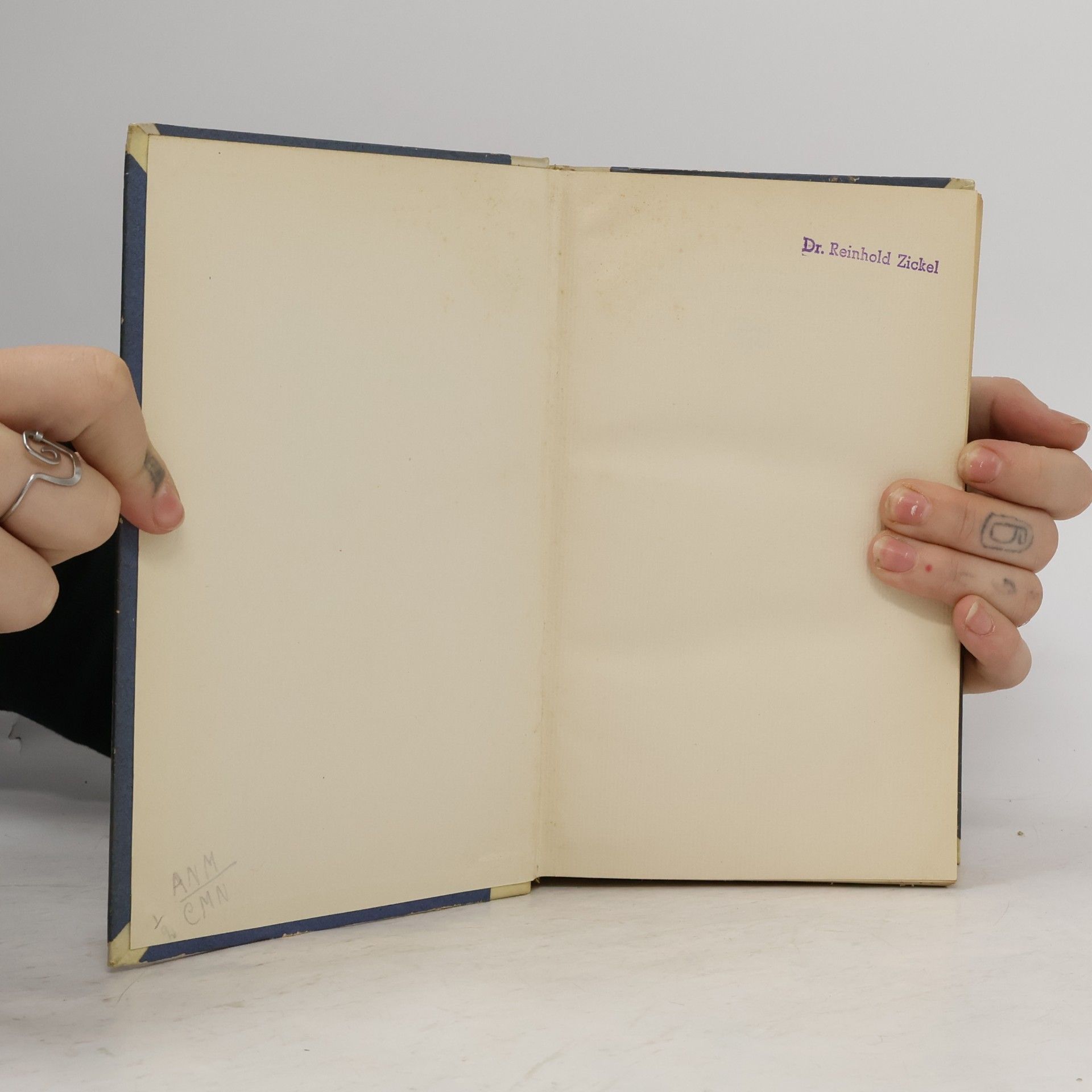 Paul Verlaine Gesammelte Werke