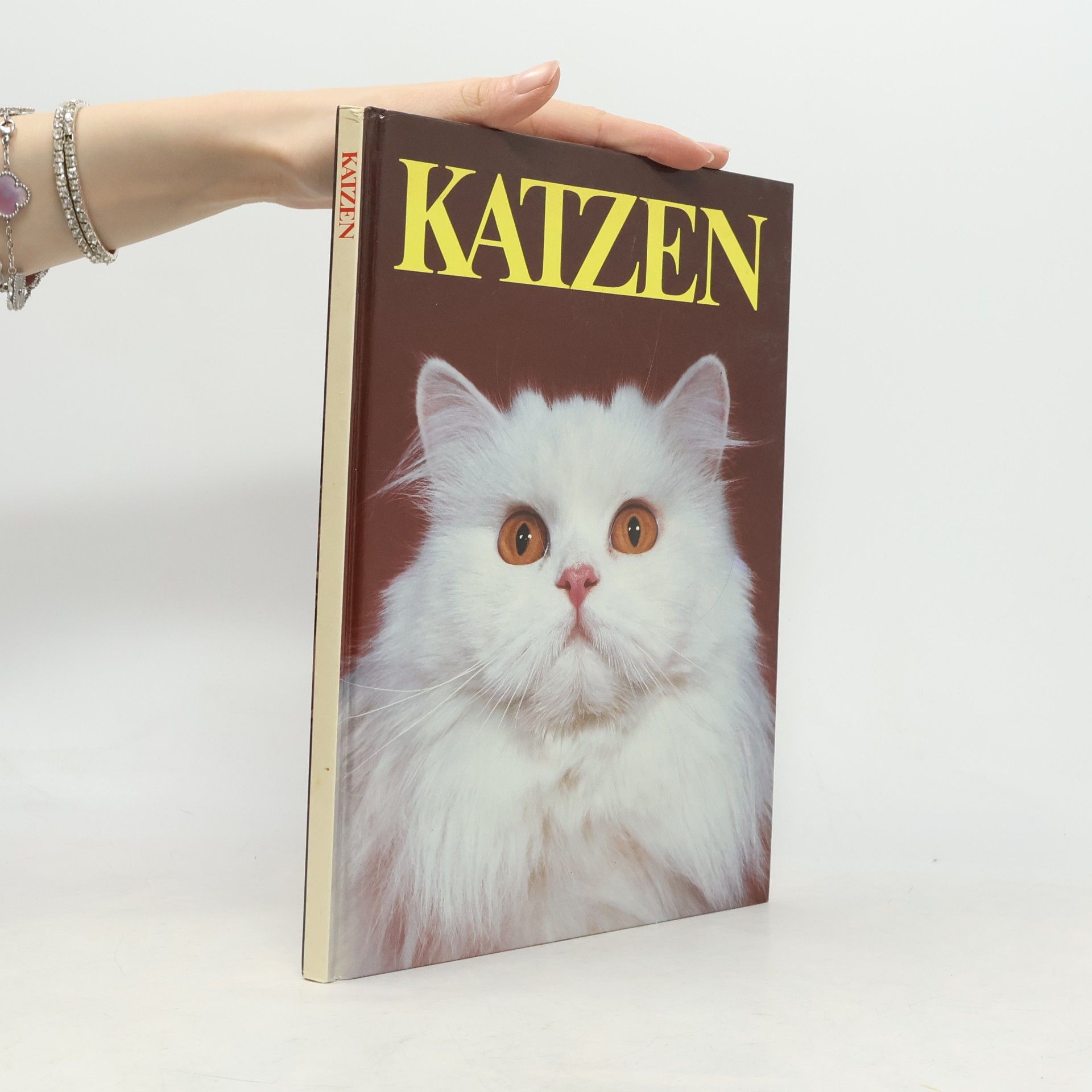 Kolektiv autorů Katzen