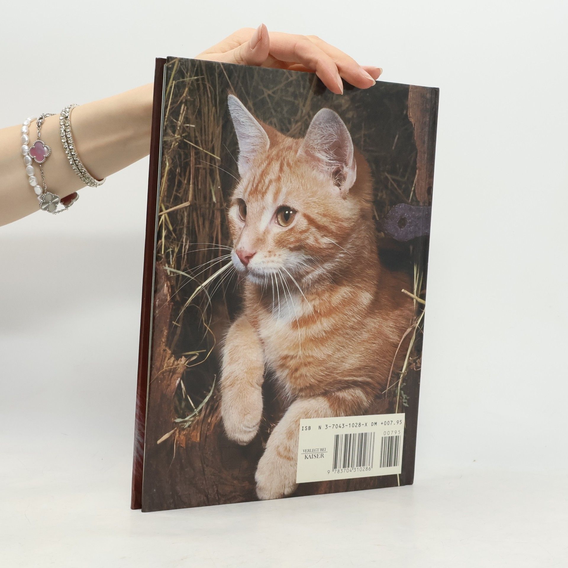Kolektiv autorů Katzen