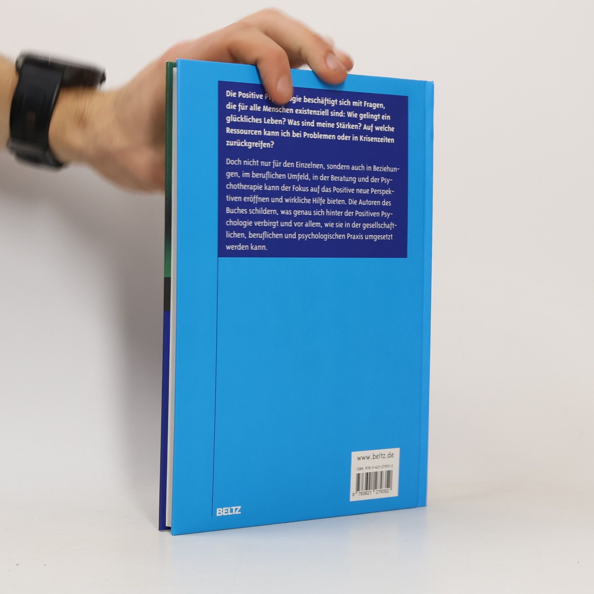 Christoph Steinebach Positive Psychologie in der Praxis. Mit Online-Materialien
