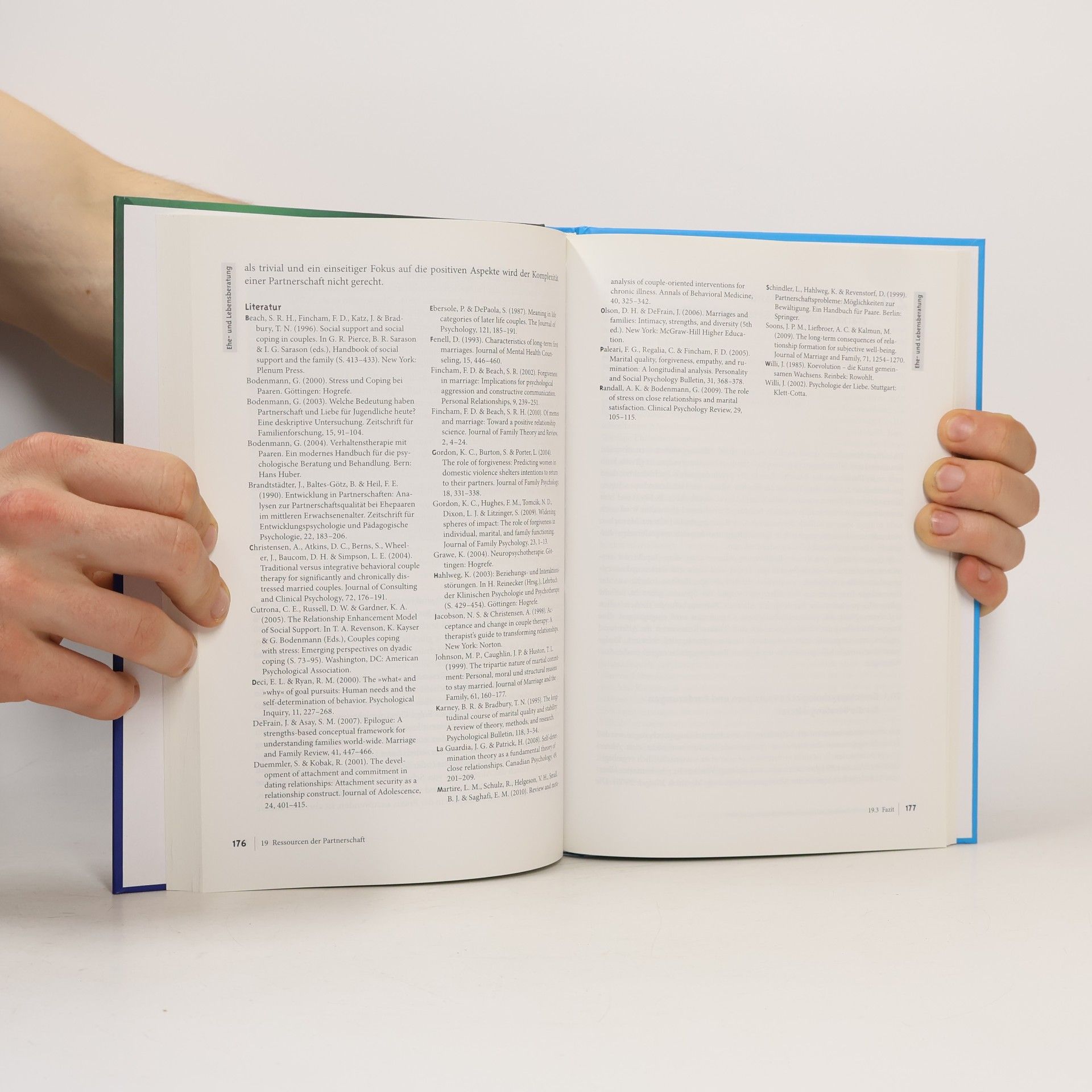 Christoph Steinebach Positive Psychologie in der Praxis. Mit Online-Materialien