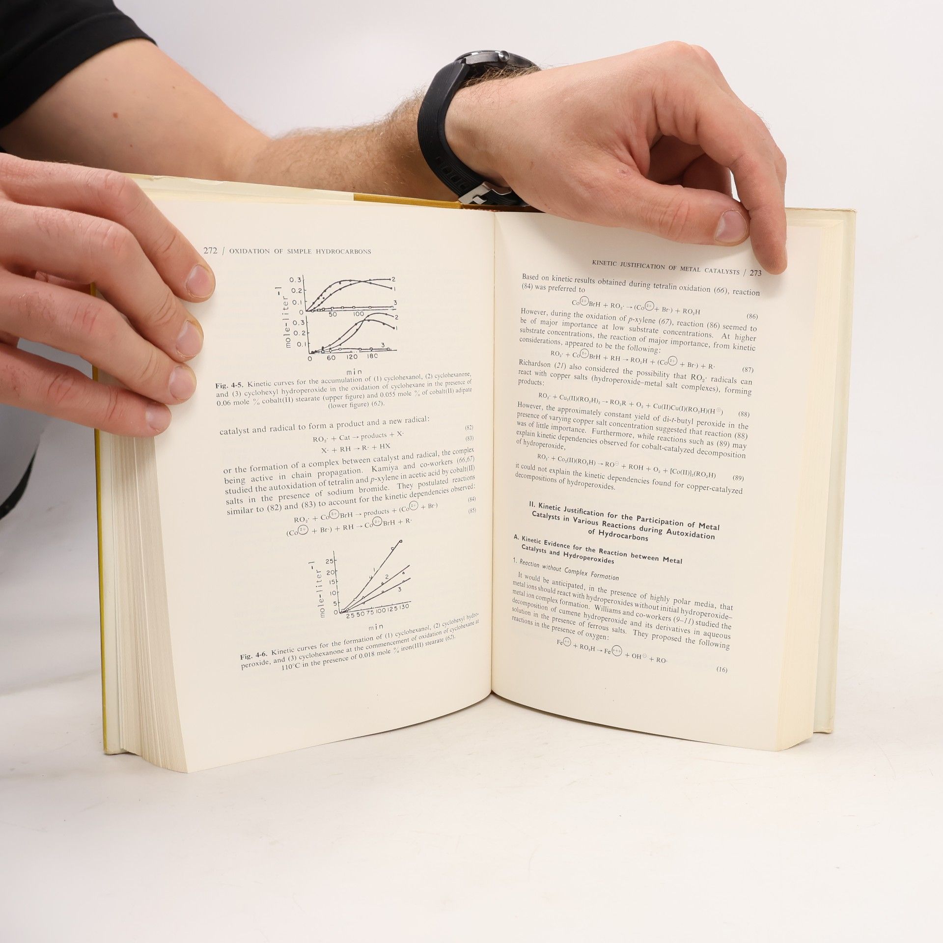 Leo Reich Autoxidation of hydrocarbons and polyolefins
