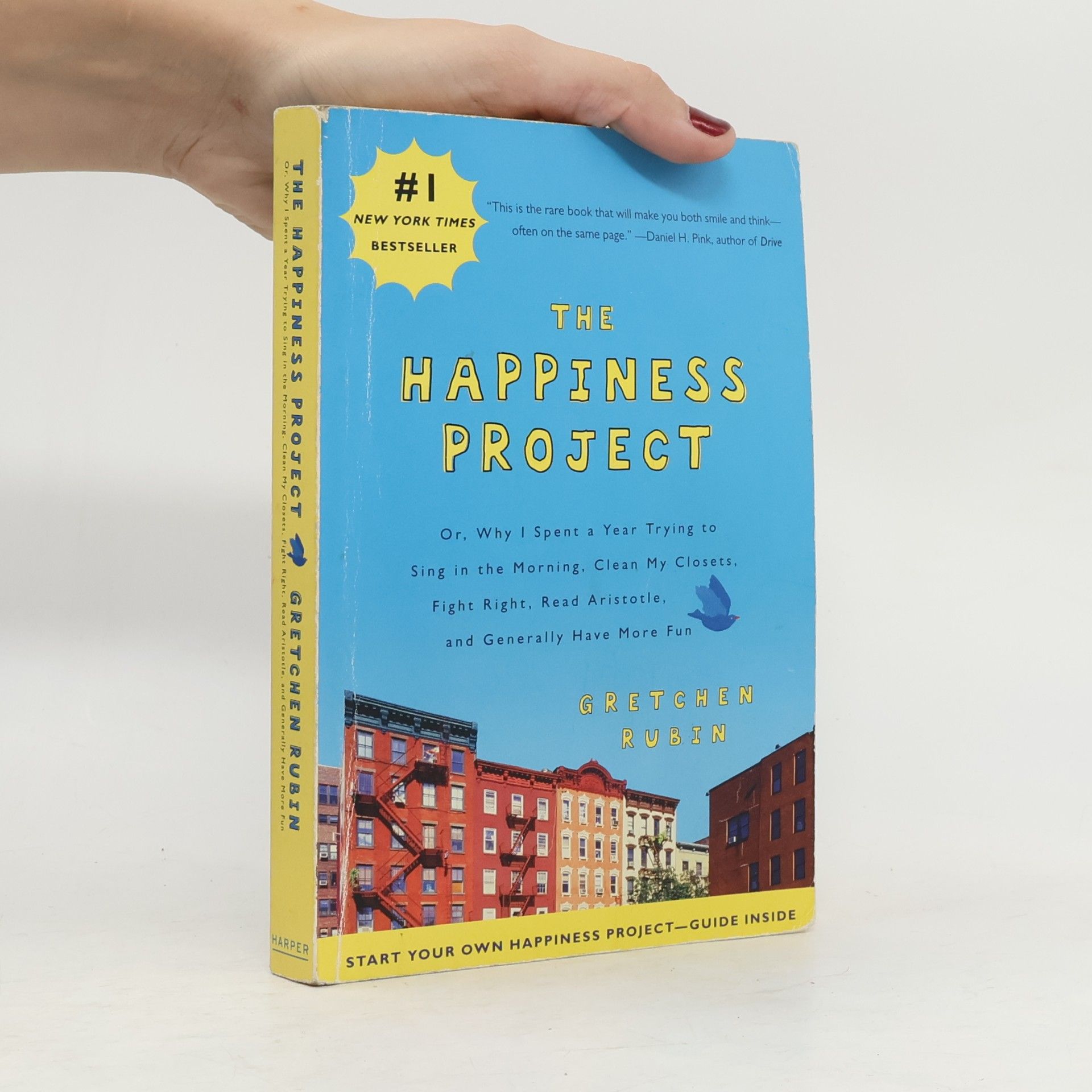 The happiness project