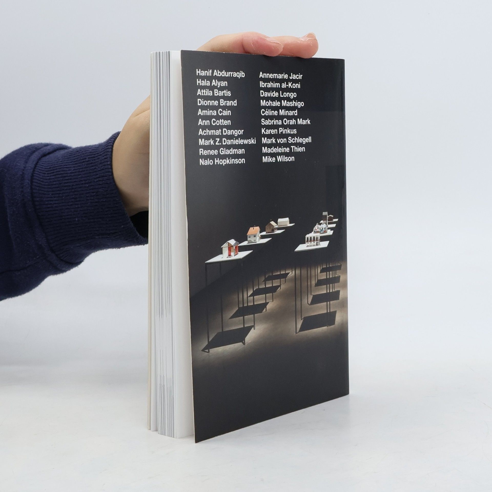 Peter Friedl Peter Friedl - Rehousing