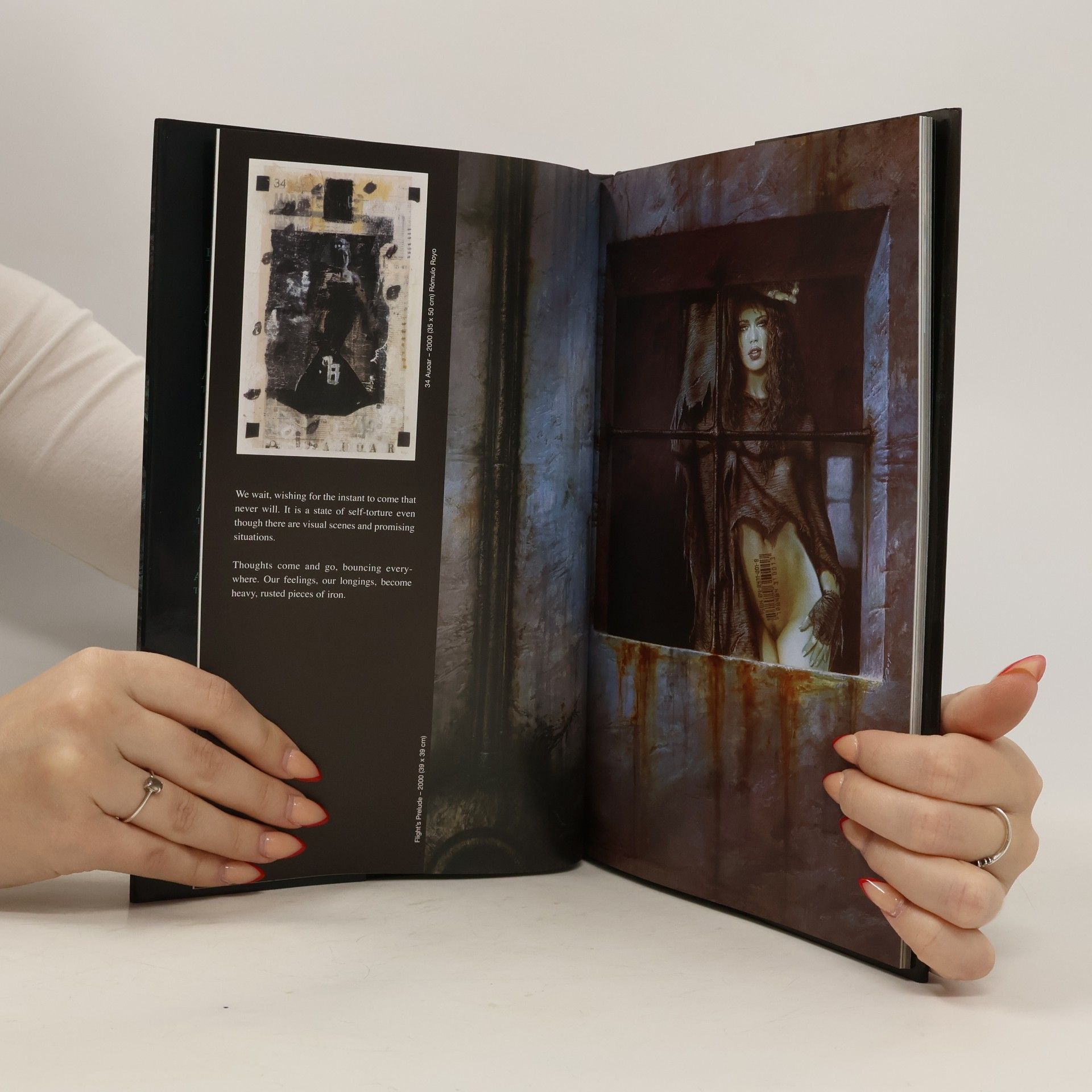 Luis Royo Prohibited Book