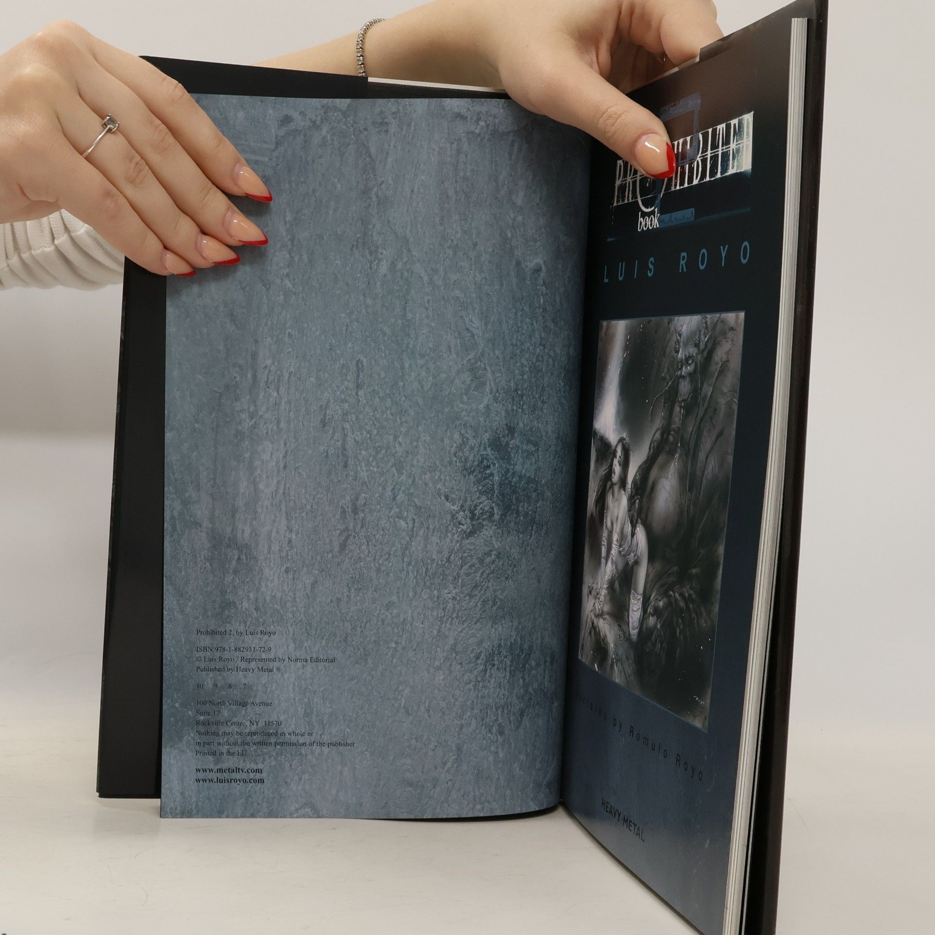 Luis Royo Prohibited Book