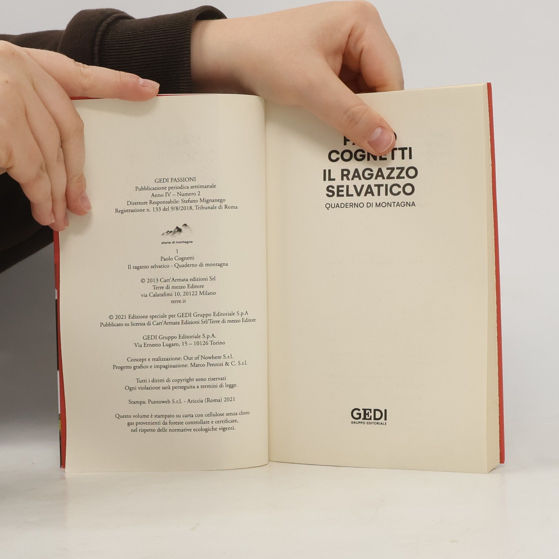 Paolo Cognetti Il ragazzo selvatico