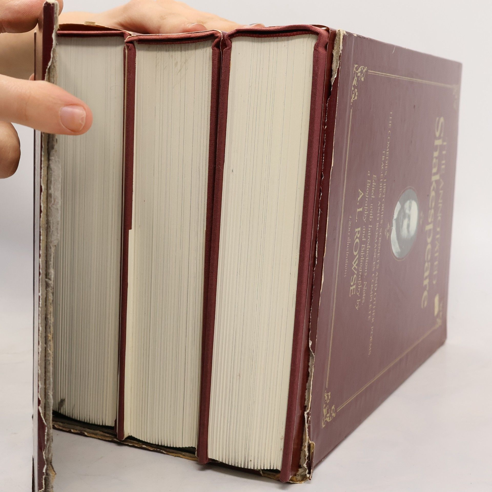 A. L. Rowse The Annotated Shakespeare