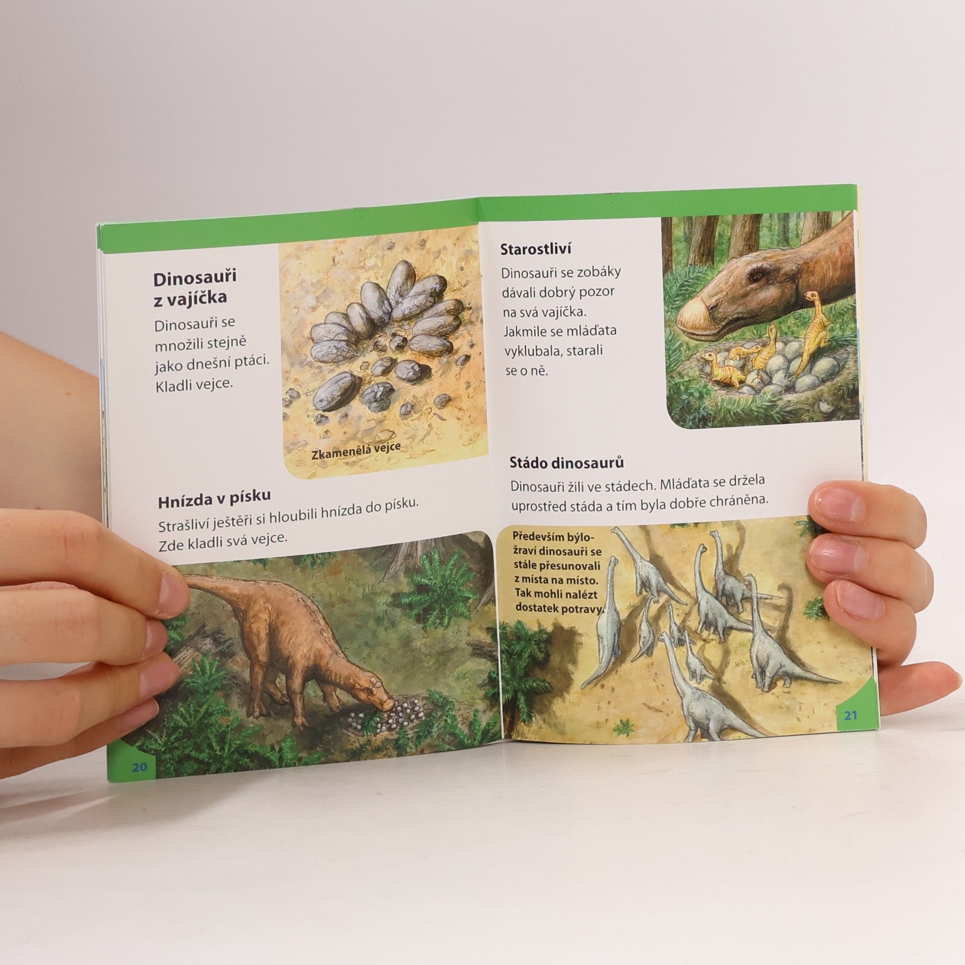 Nicola Herbst Dinosauři: Fascinující pravěká zvířata