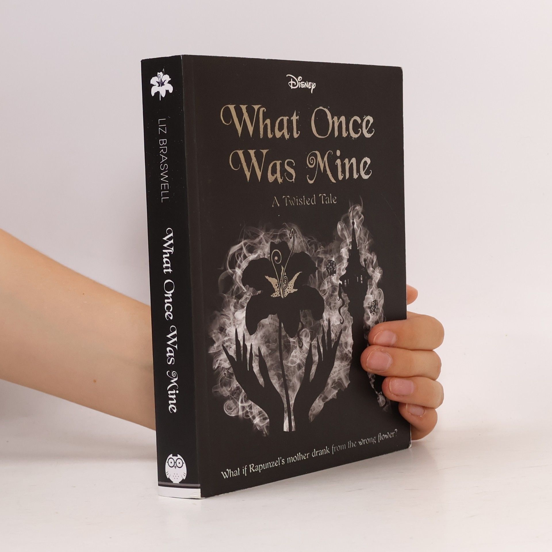 Elizabeth J. Braswell What Once Was Mine