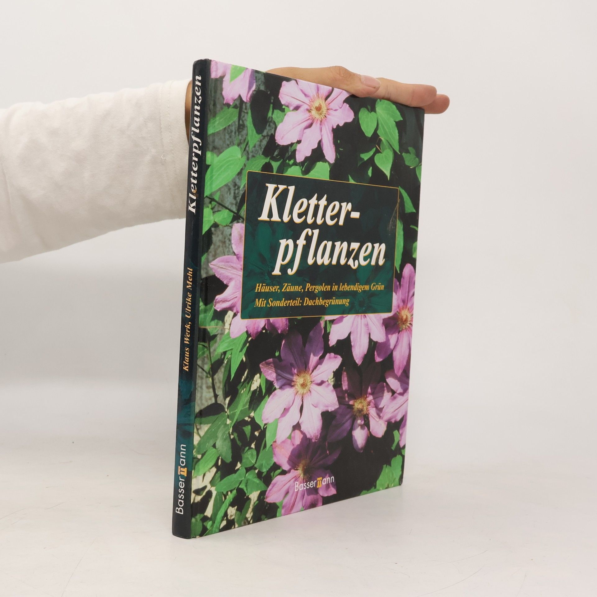 Kletterpflanzen