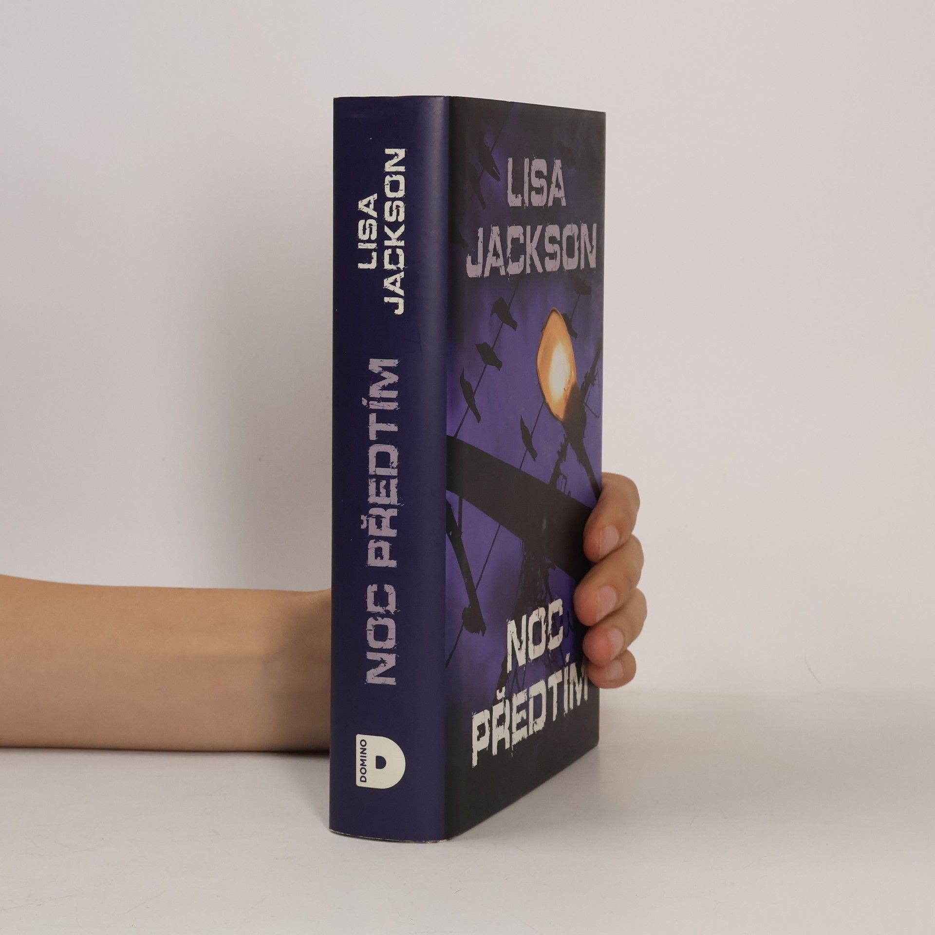 Lisa Jackson Noc předtím