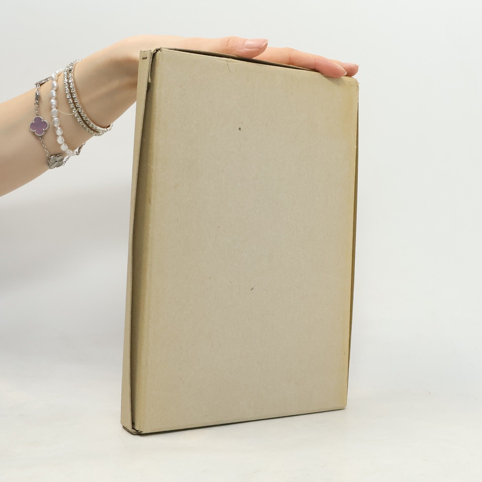 Miriam Cahn Lesen in Staub