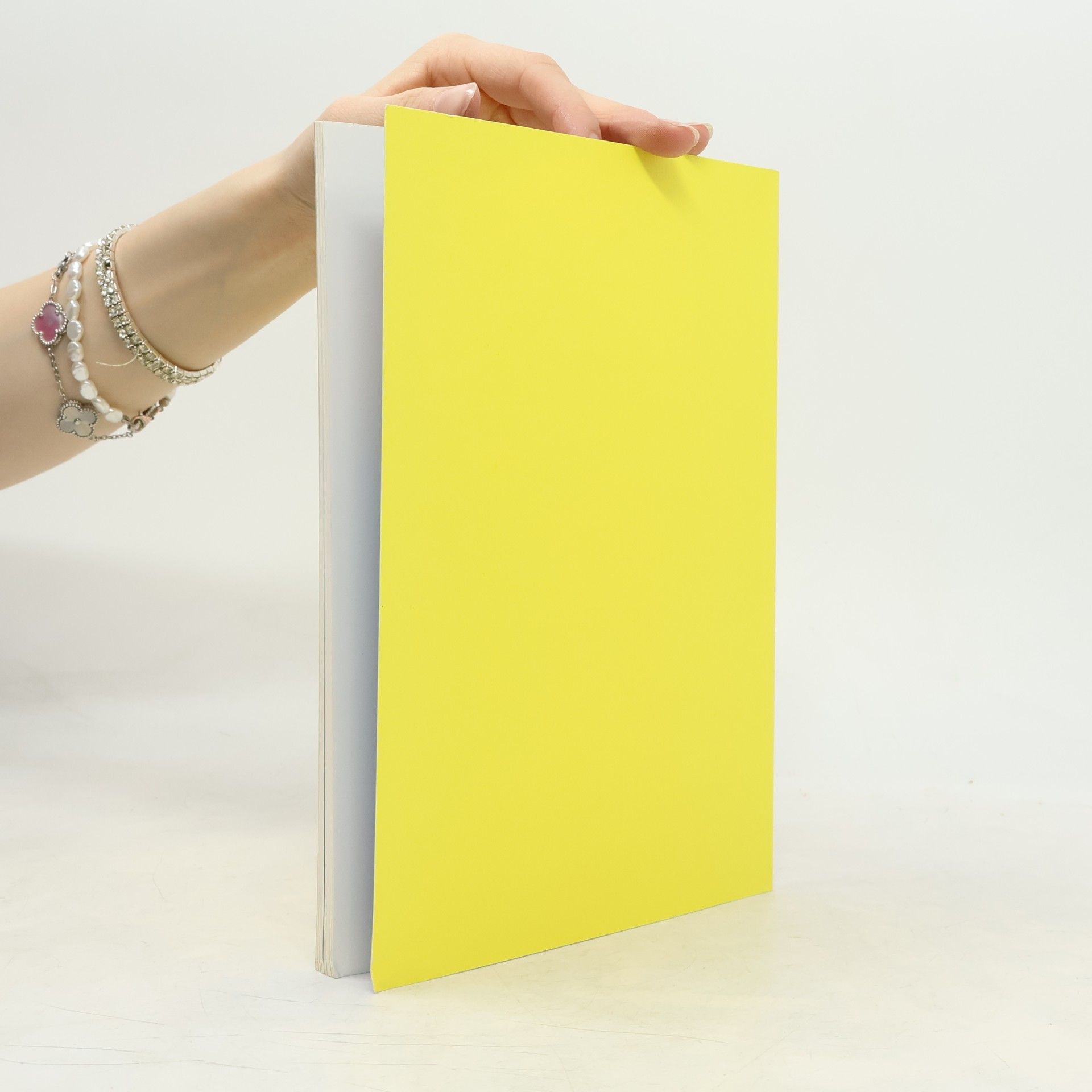 Miriam Cahn Miriam Cahn. Umgebung