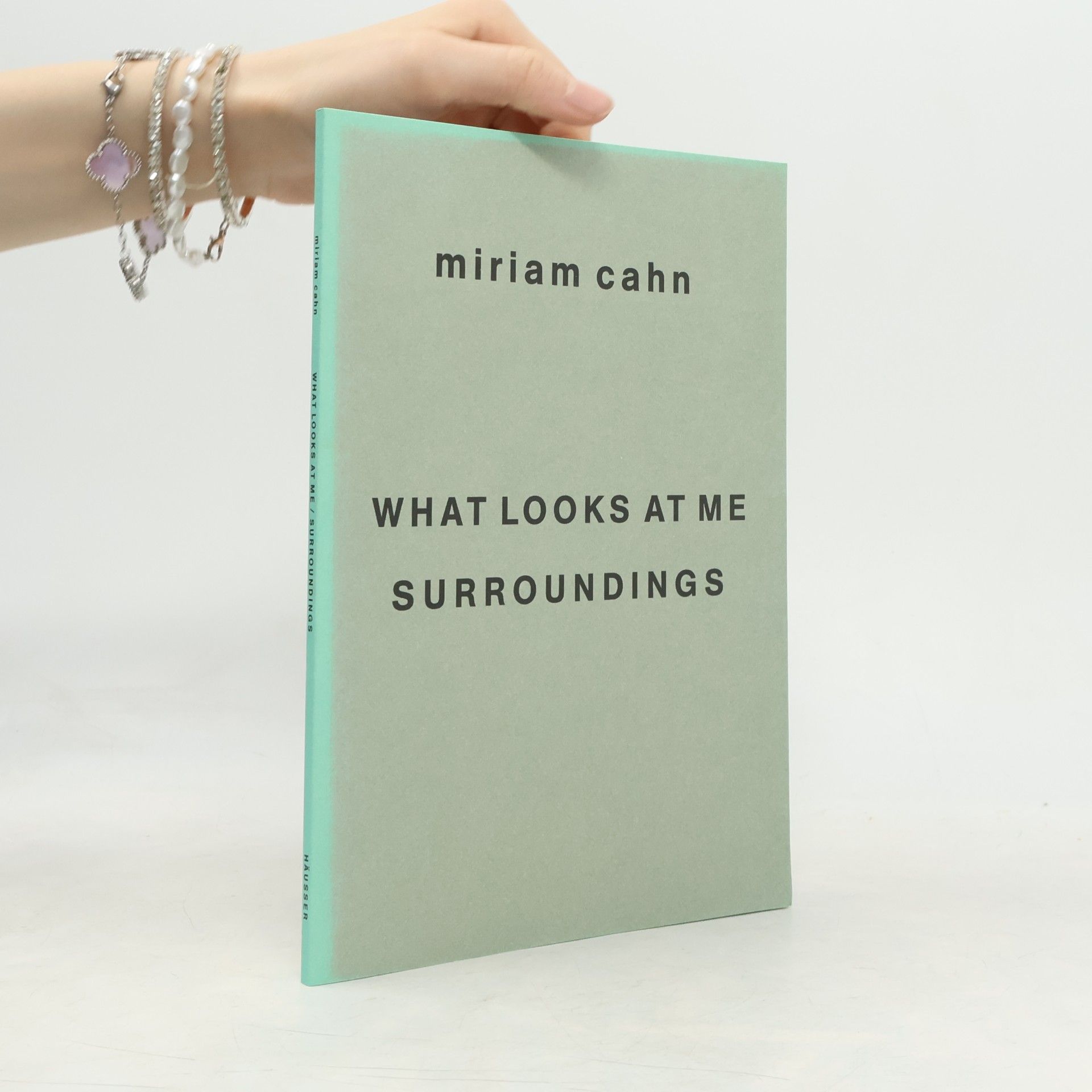 Miriam Cahn What looks at me surroundings