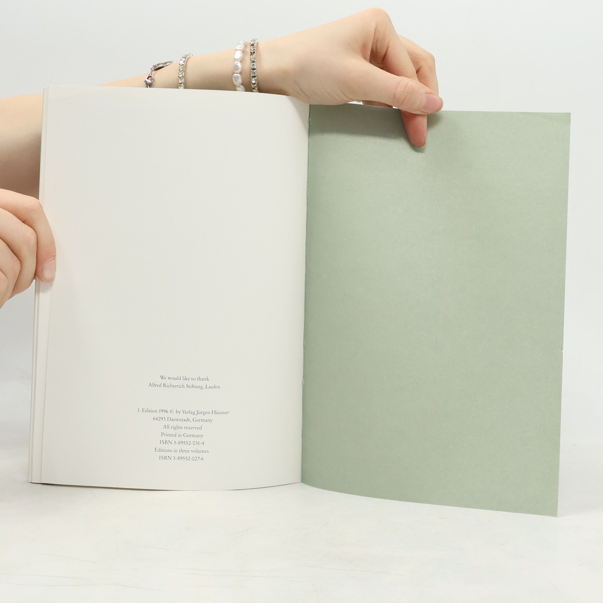 Miriam Cahn What looks at me surroundings
