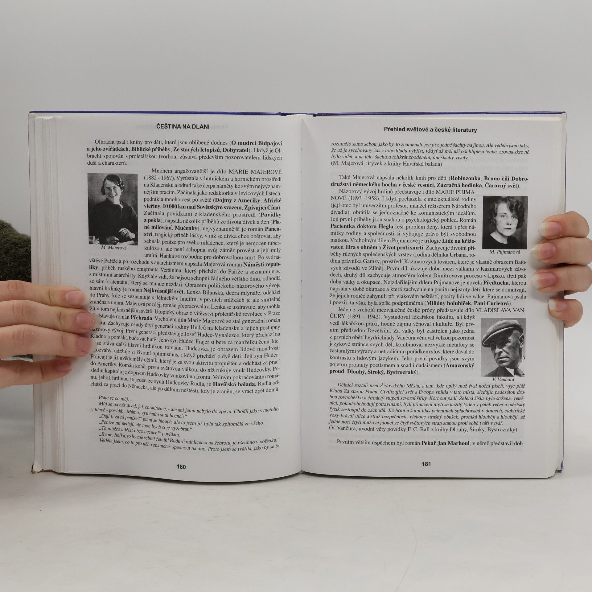 Alois Bauer Čeština na dlani. Přehled světové a české literatury