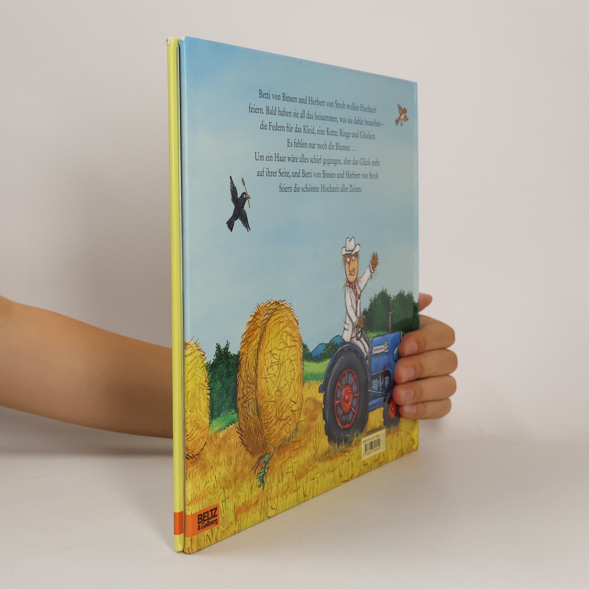 Axel Scheffler Die Vogelscheuchenhochzeit