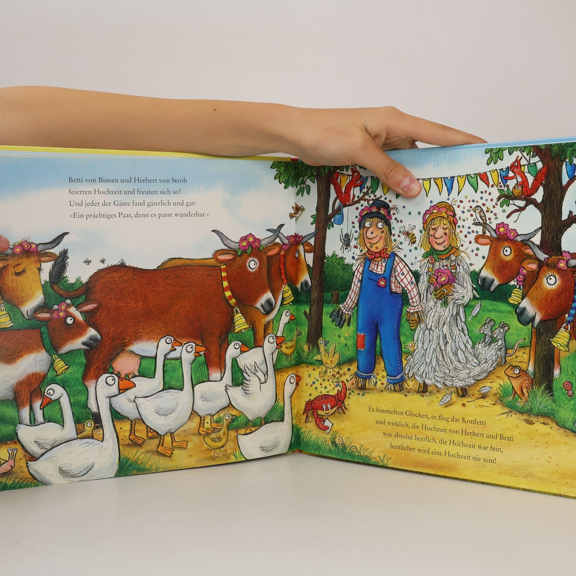 Axel Scheffler Die Vogelscheuchenhochzeit