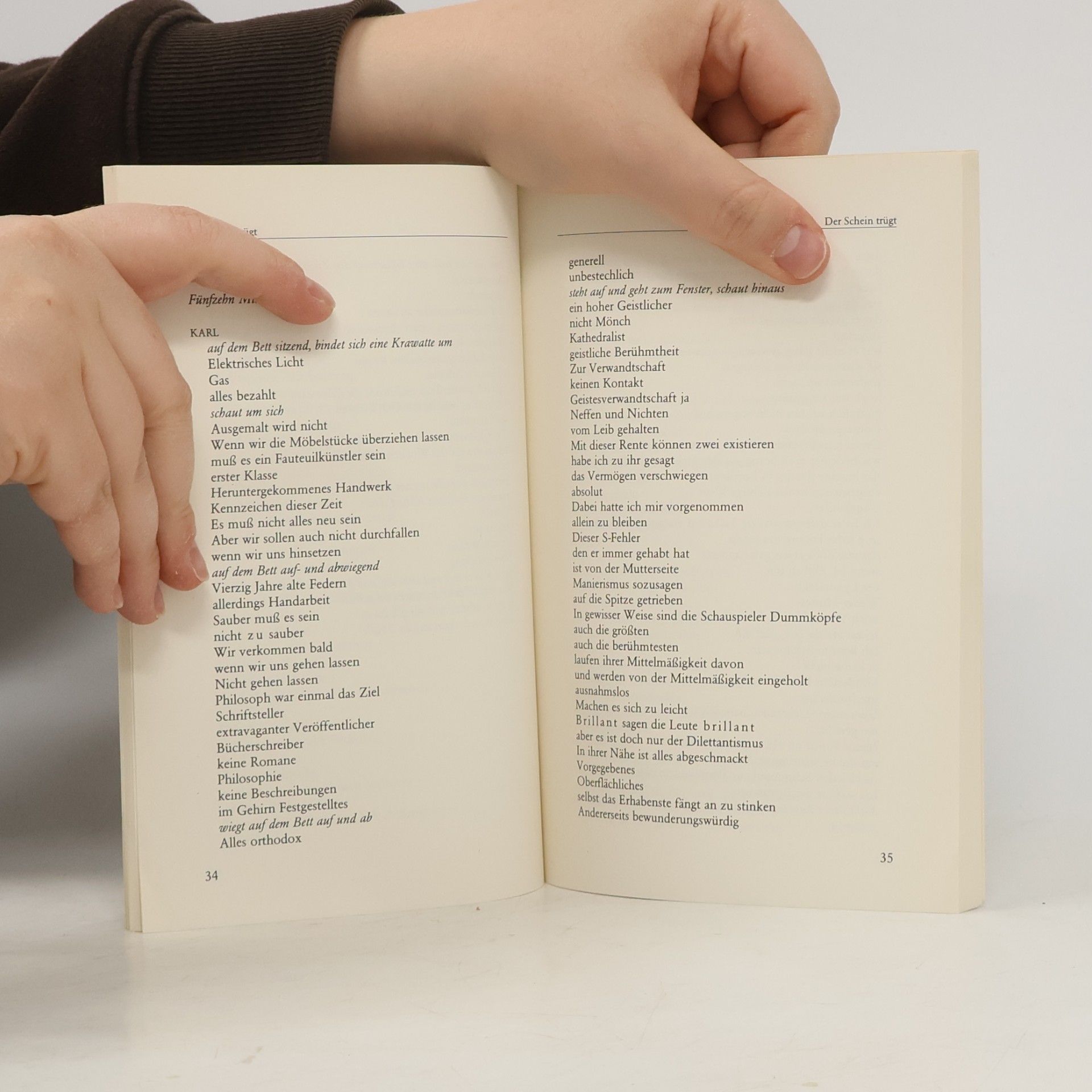 Thomas Bernhard Der schein trügt