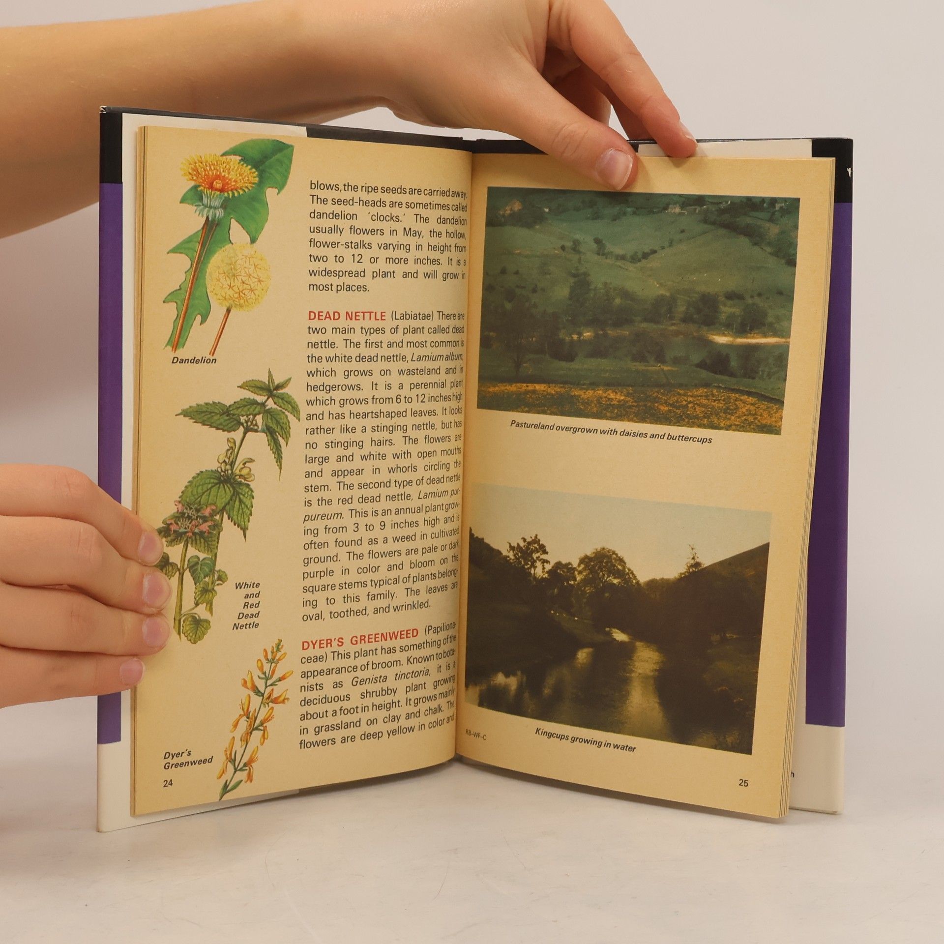 Various authors The World of Wild Flowers