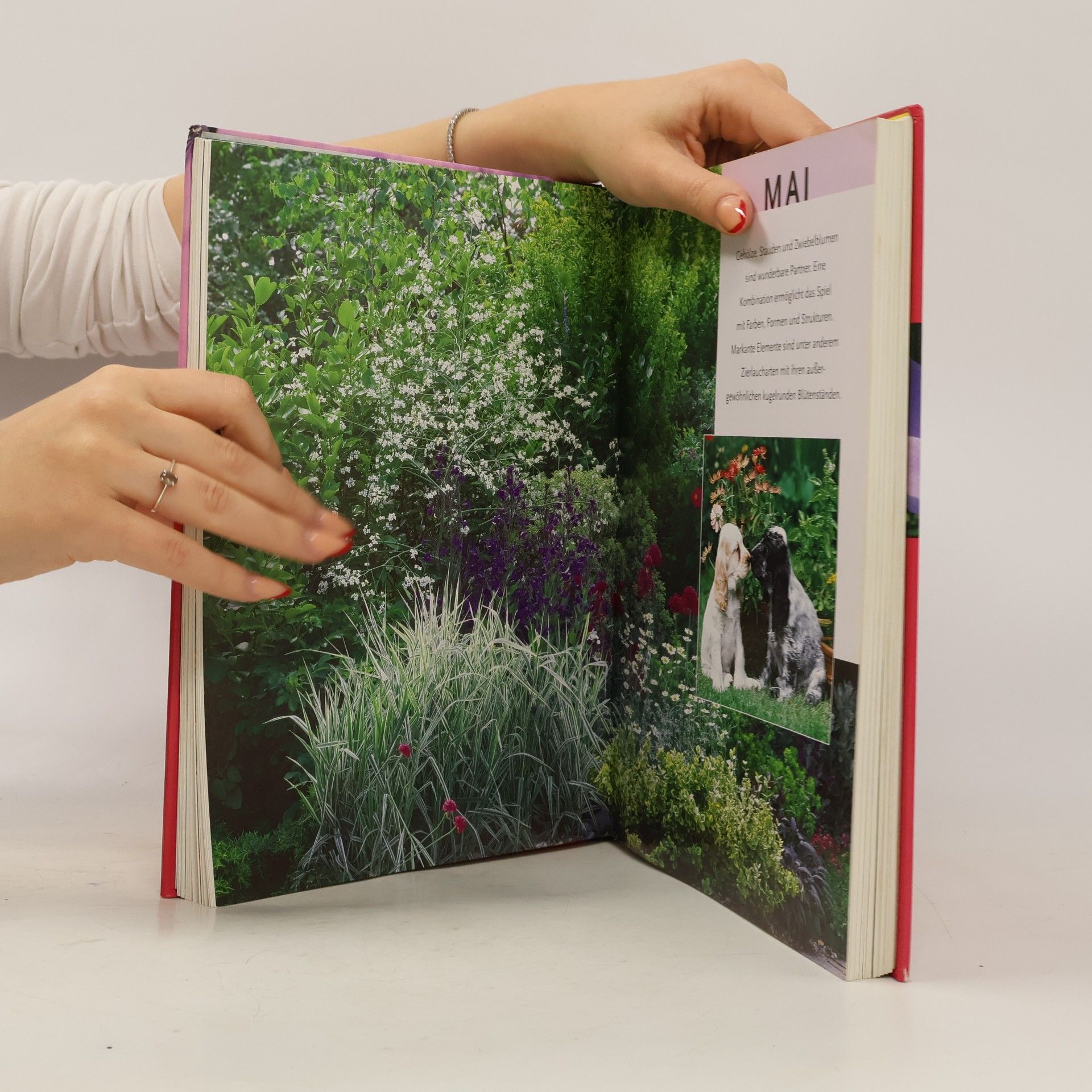 Angelika Throll Mit Erfolg durchs Gartenjahr