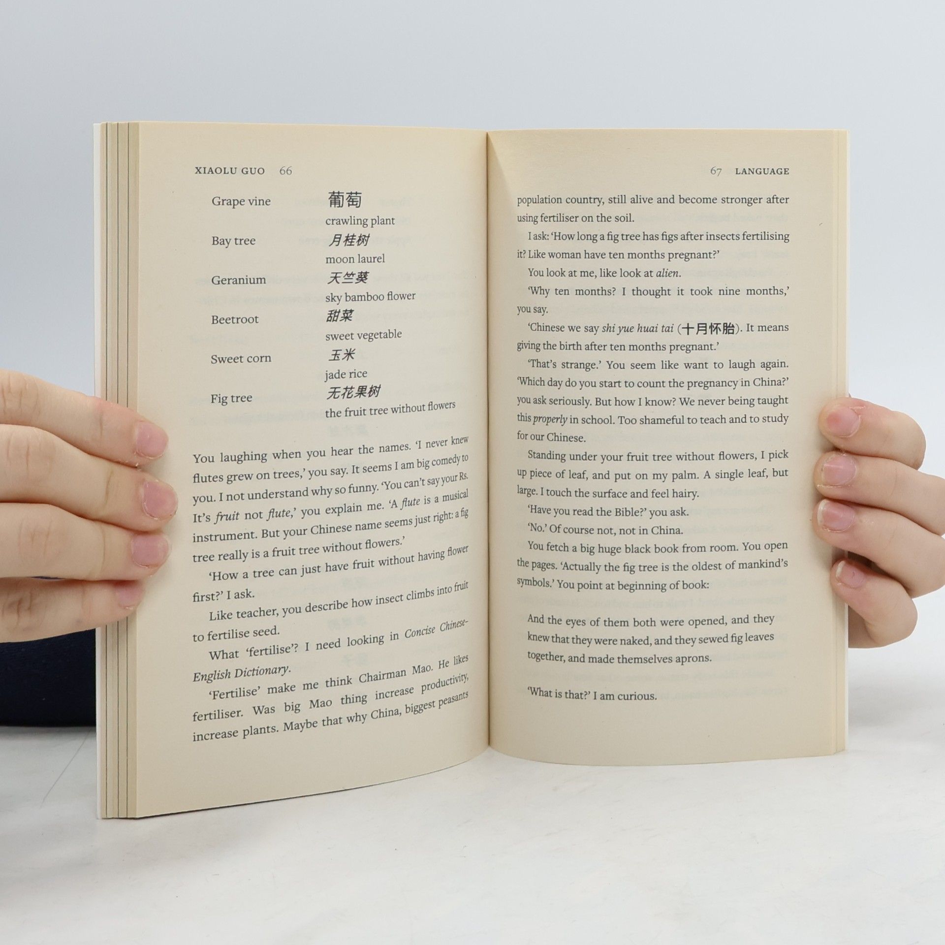 Xiaolu Guo Language